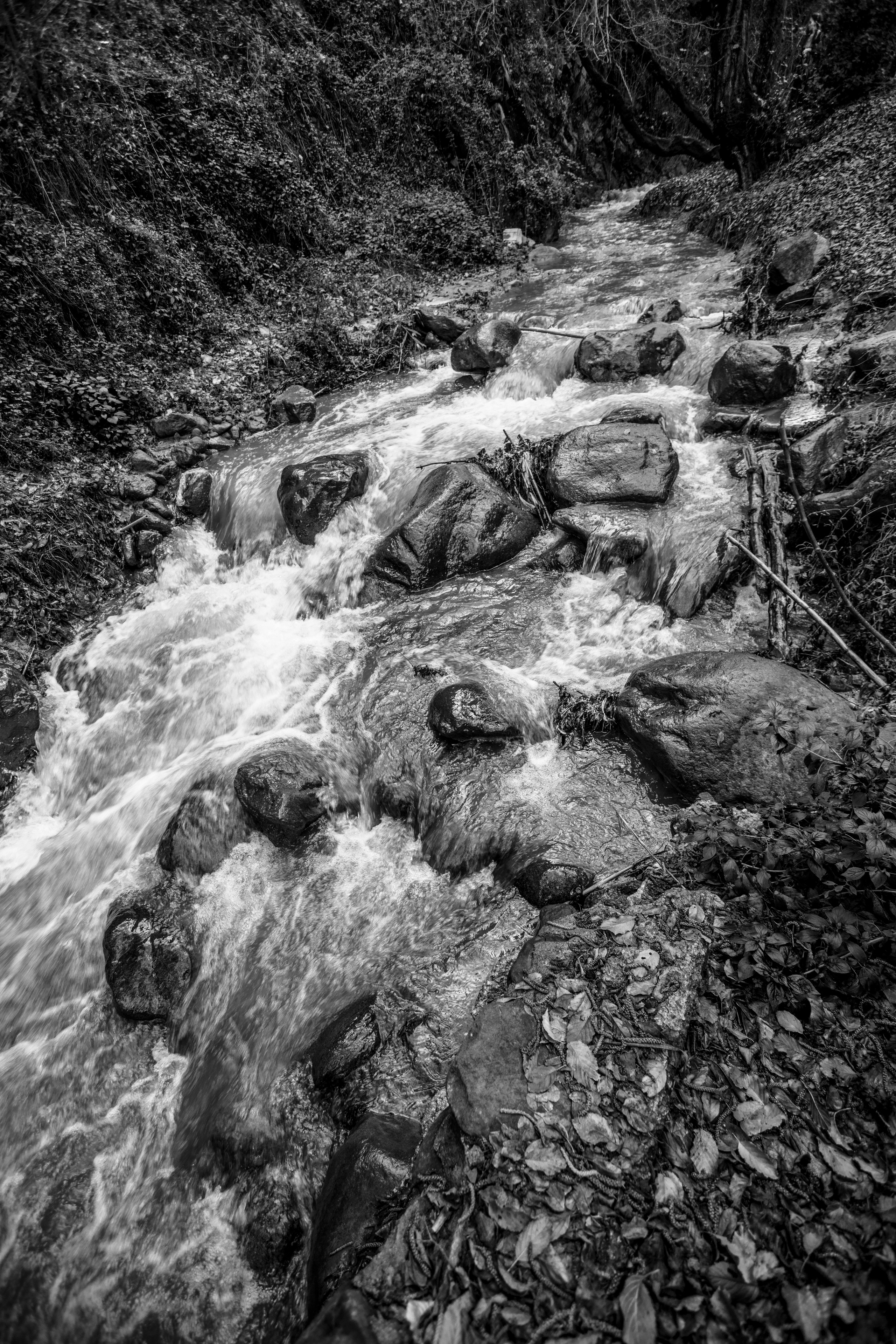 Кипр (январь 2018). Фотограф Сергей Танков