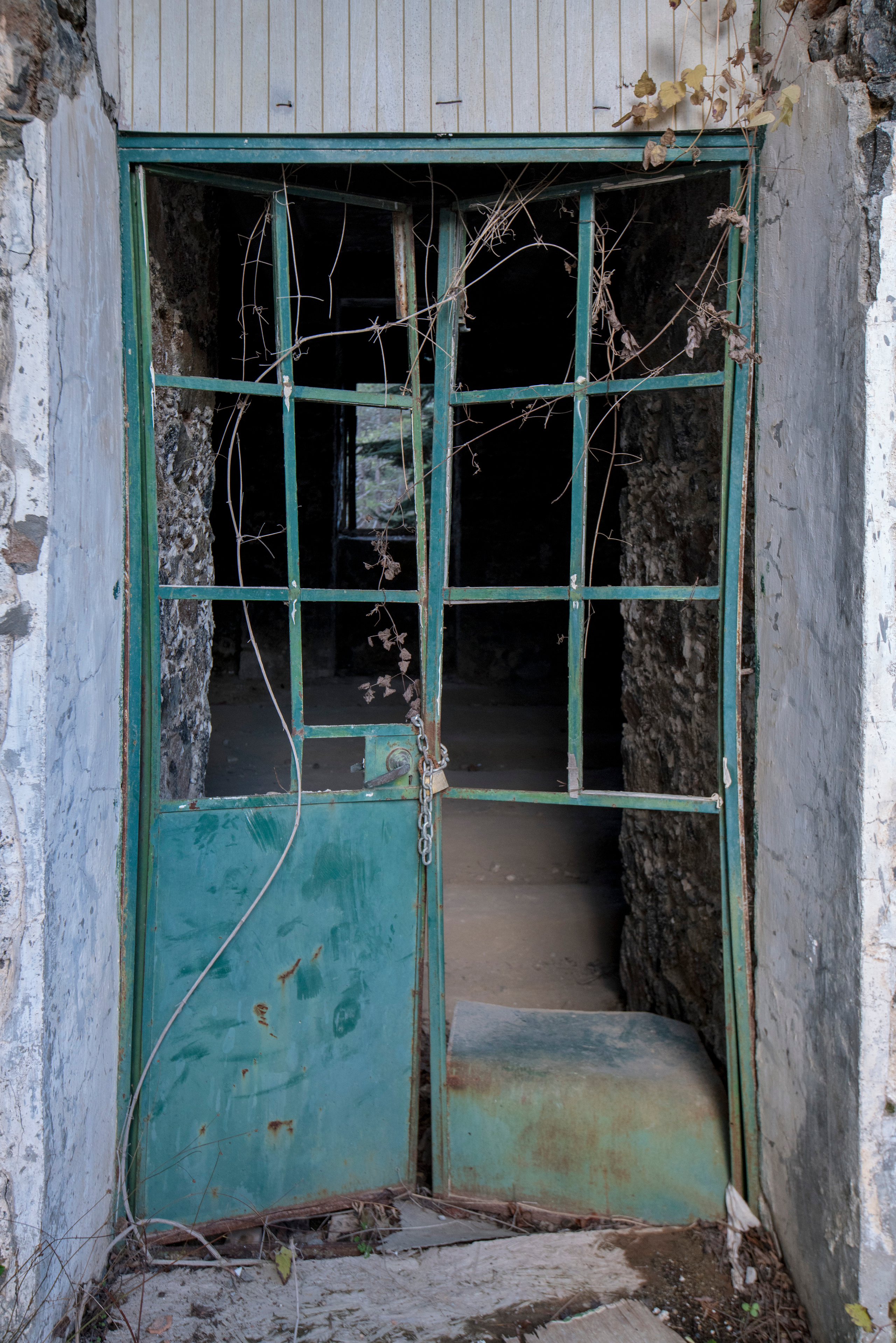 Кипр (январь 2018). Фотограф Сергей Танков