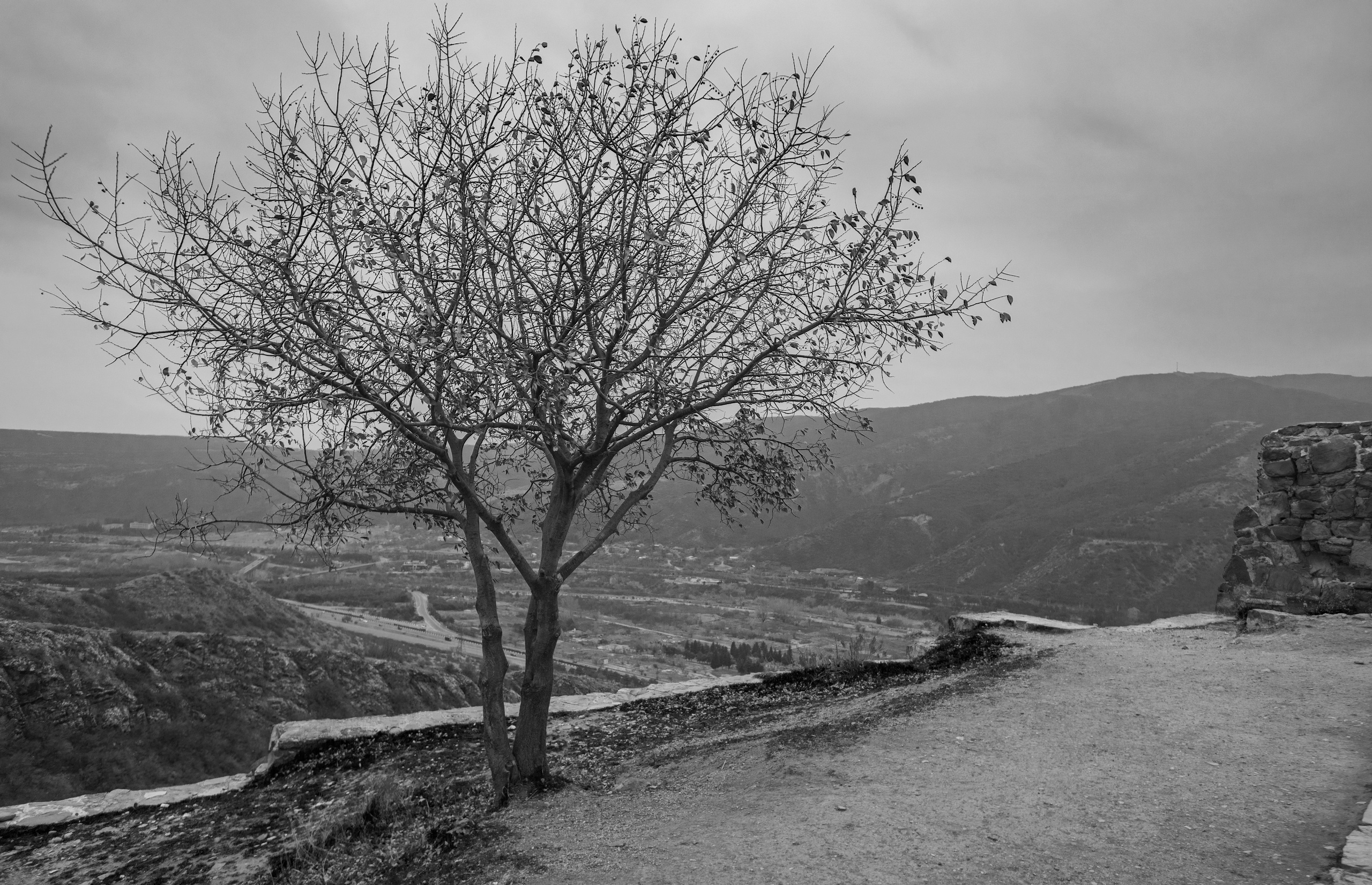Грузия (декабрь 2017). Фотограф Сергей Танков