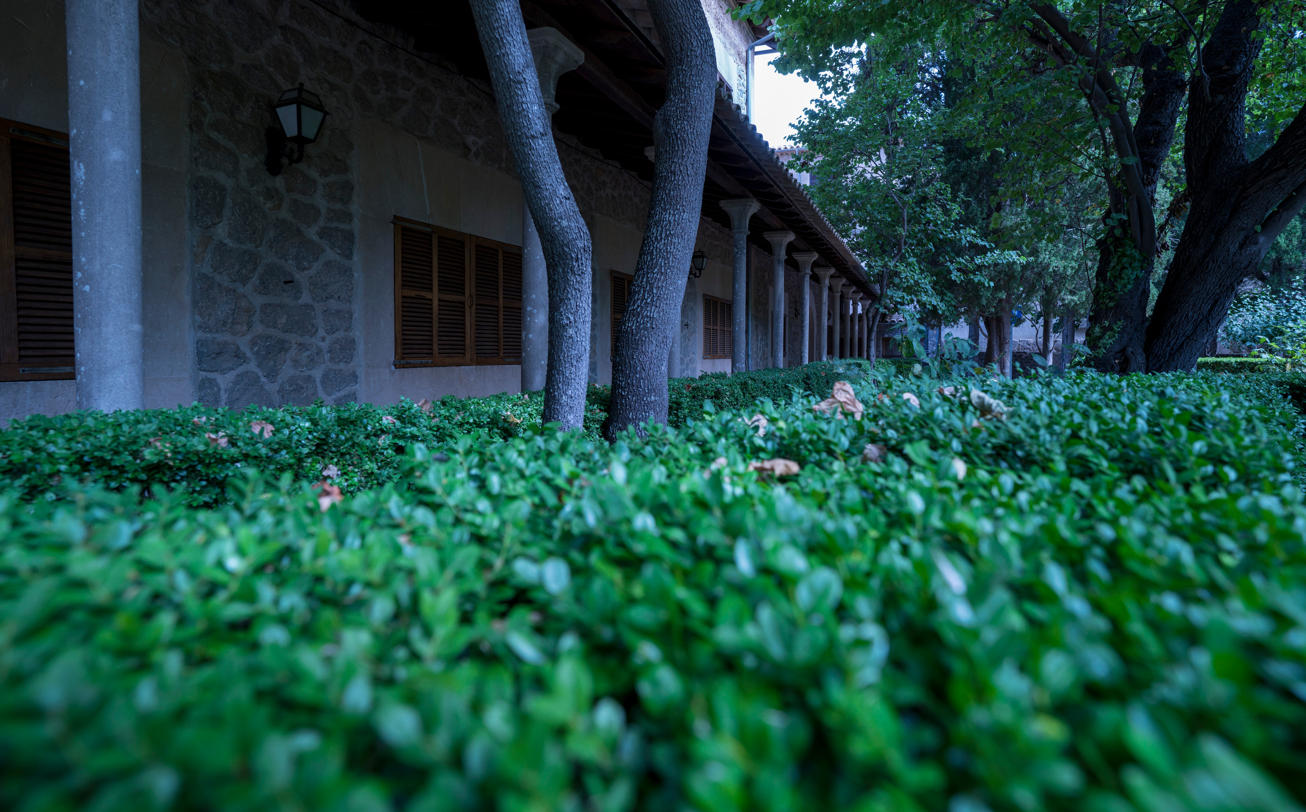 Майорка (июль 2018). Фотограф Сергей Танков