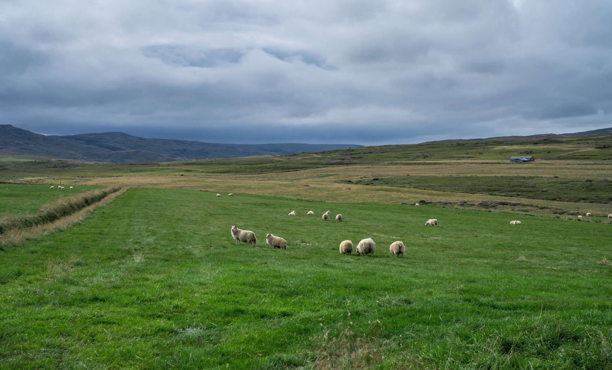 Исландия (август 2018). Фотограф Сергей Танков