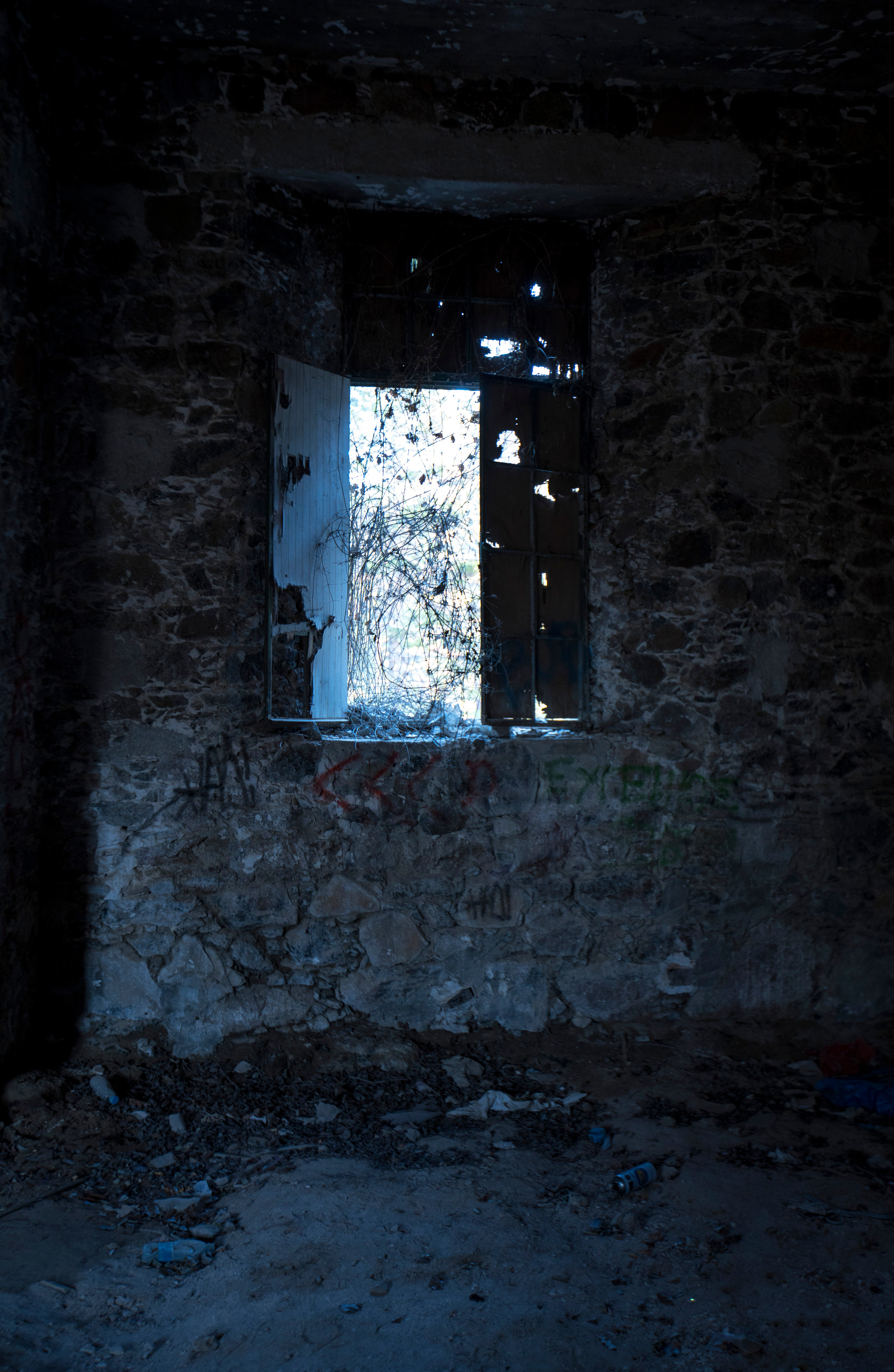 Кипр (январь 2018). Фотограф Сергей Танков