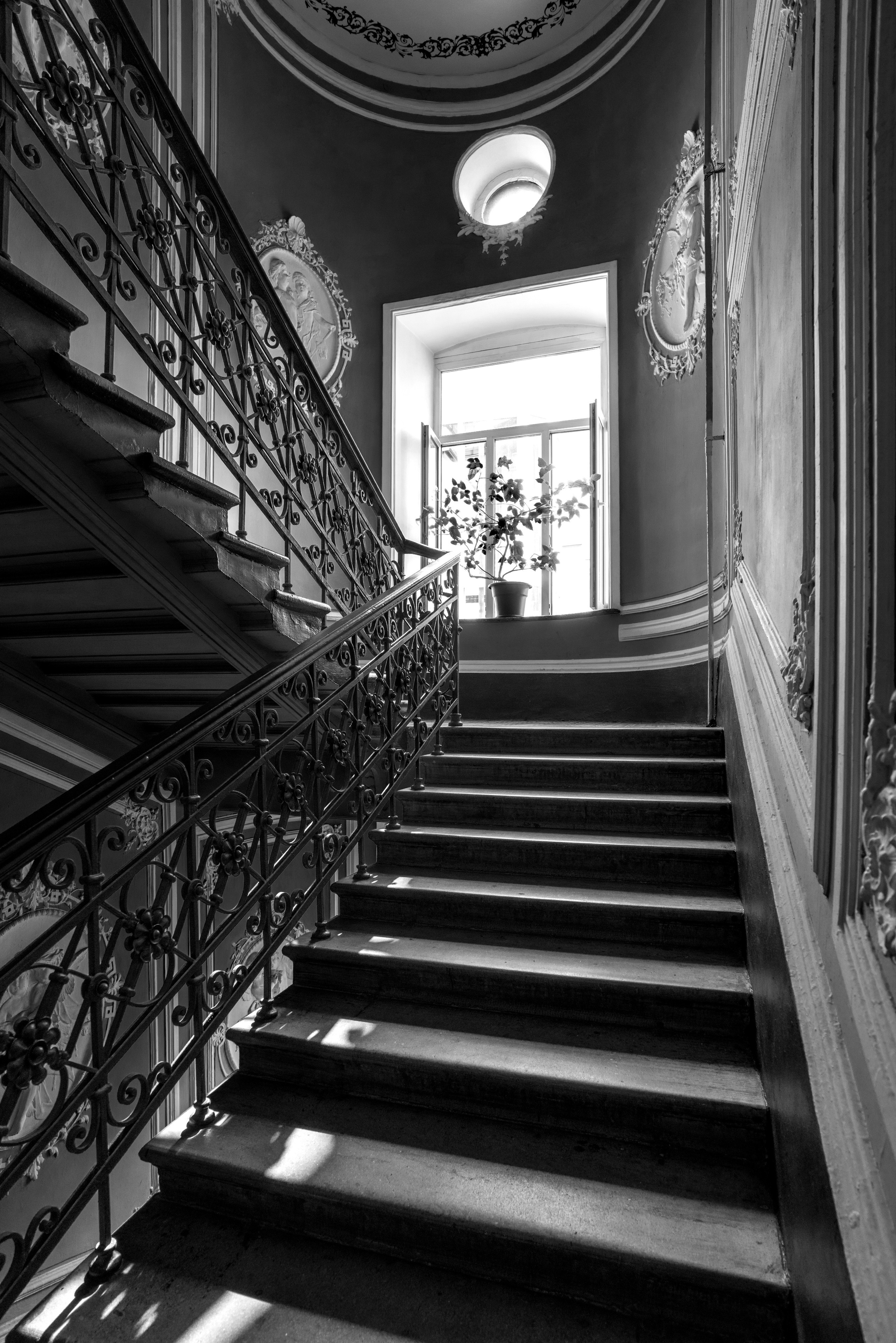 Питер (июль 2018). Фотограф Сергей Танков