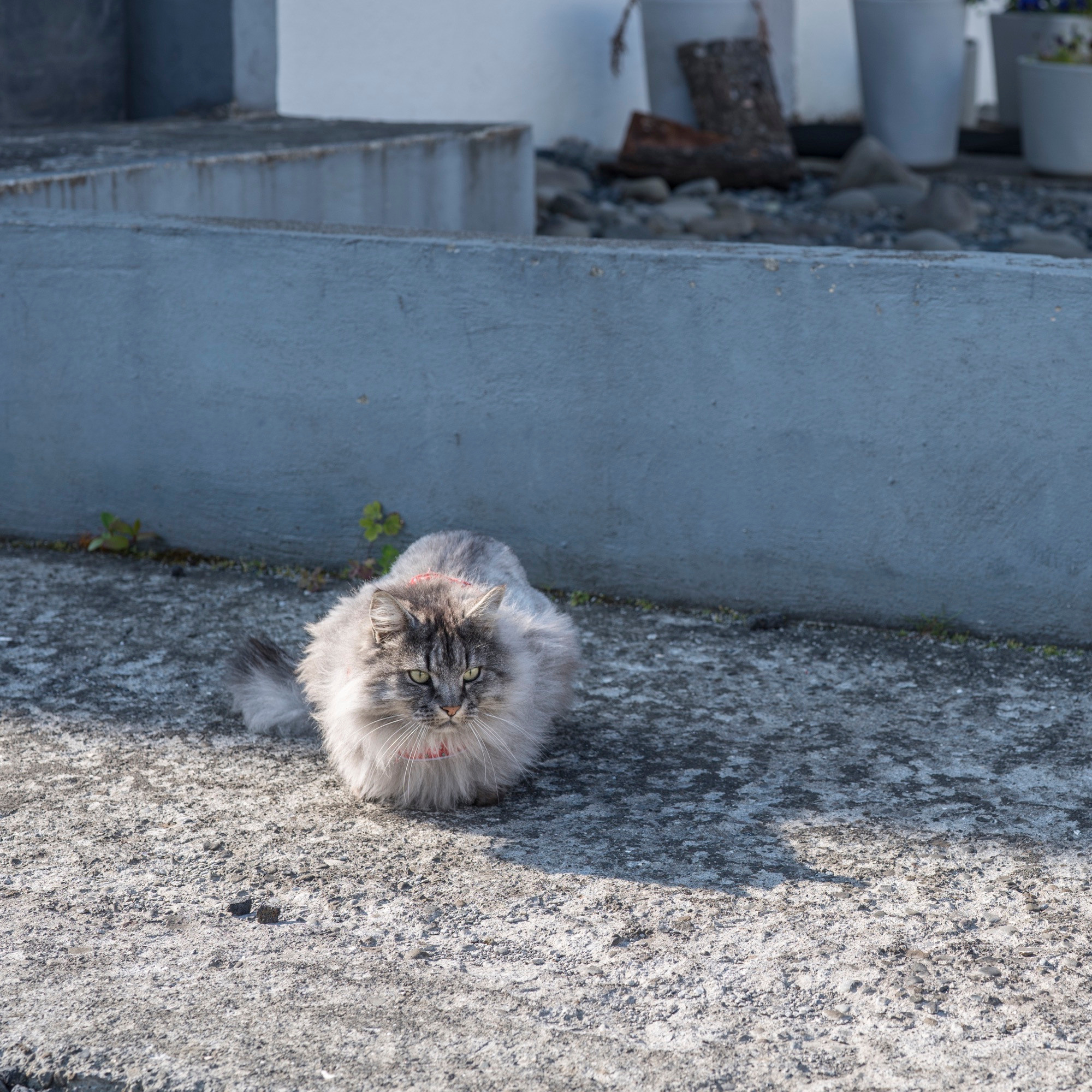 Исландия (август 2018). Фотограф Сергей Танков