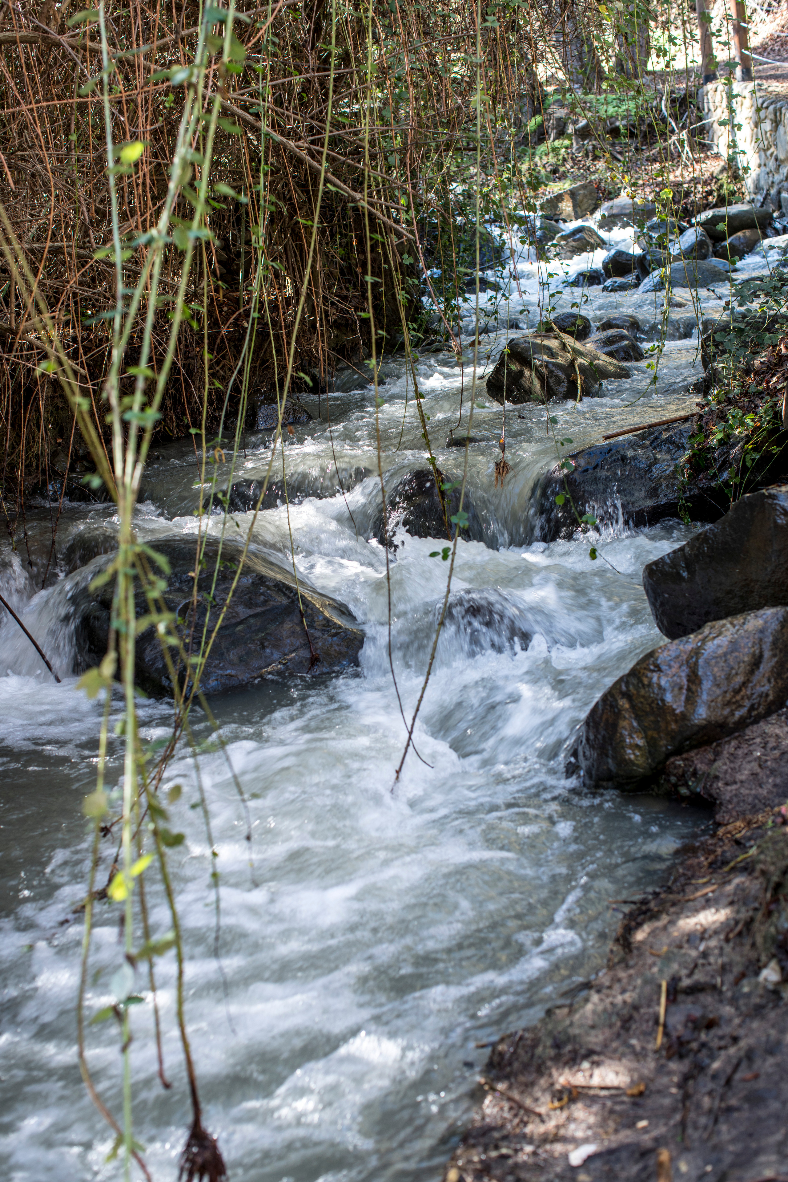 Кипр (январь 2018). Фотограф Сергей Танков