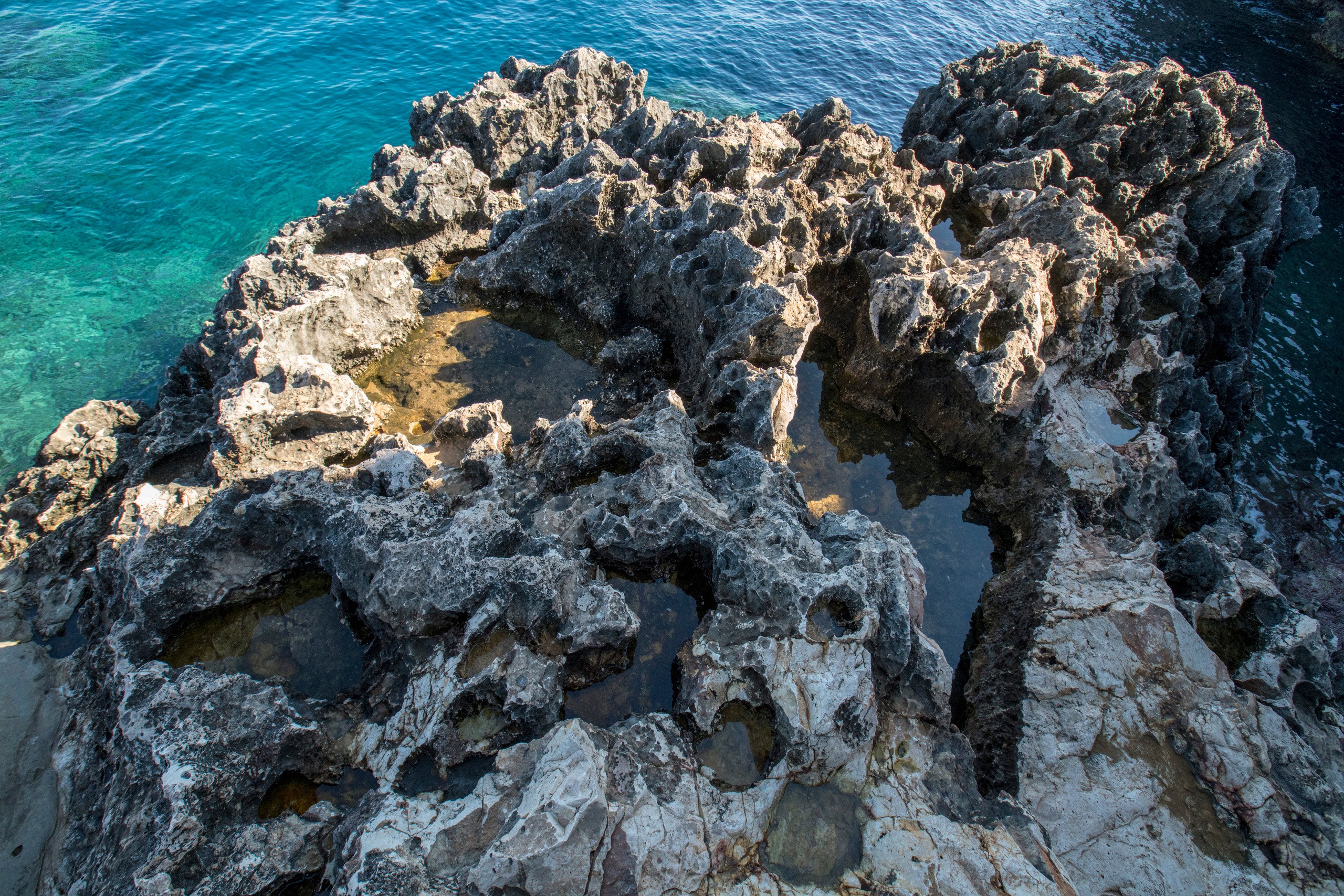 Кипр (январь 2018). Фотограф Сергей Танков