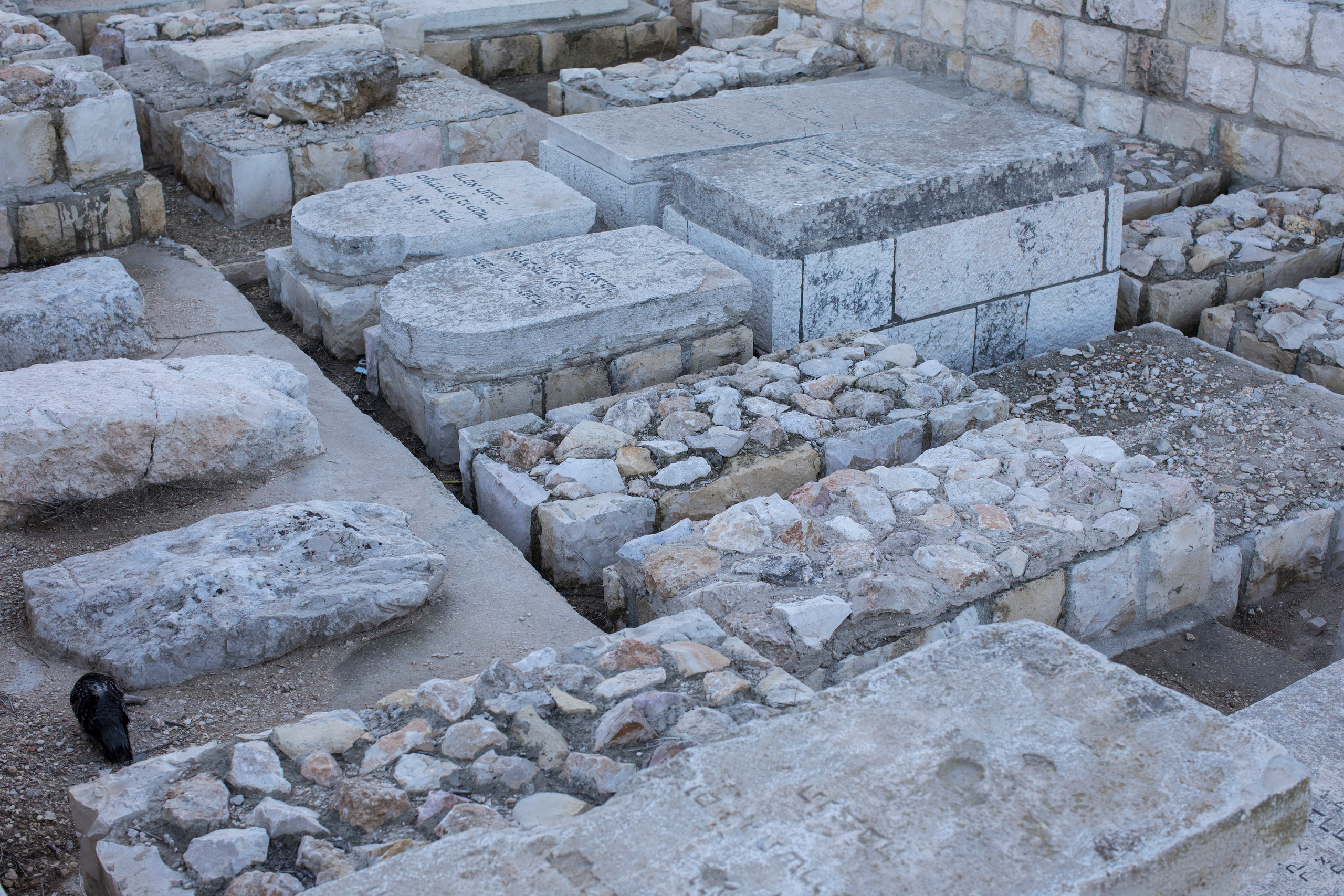 Израиль (январь 2017). Фотограф Сергей Танков