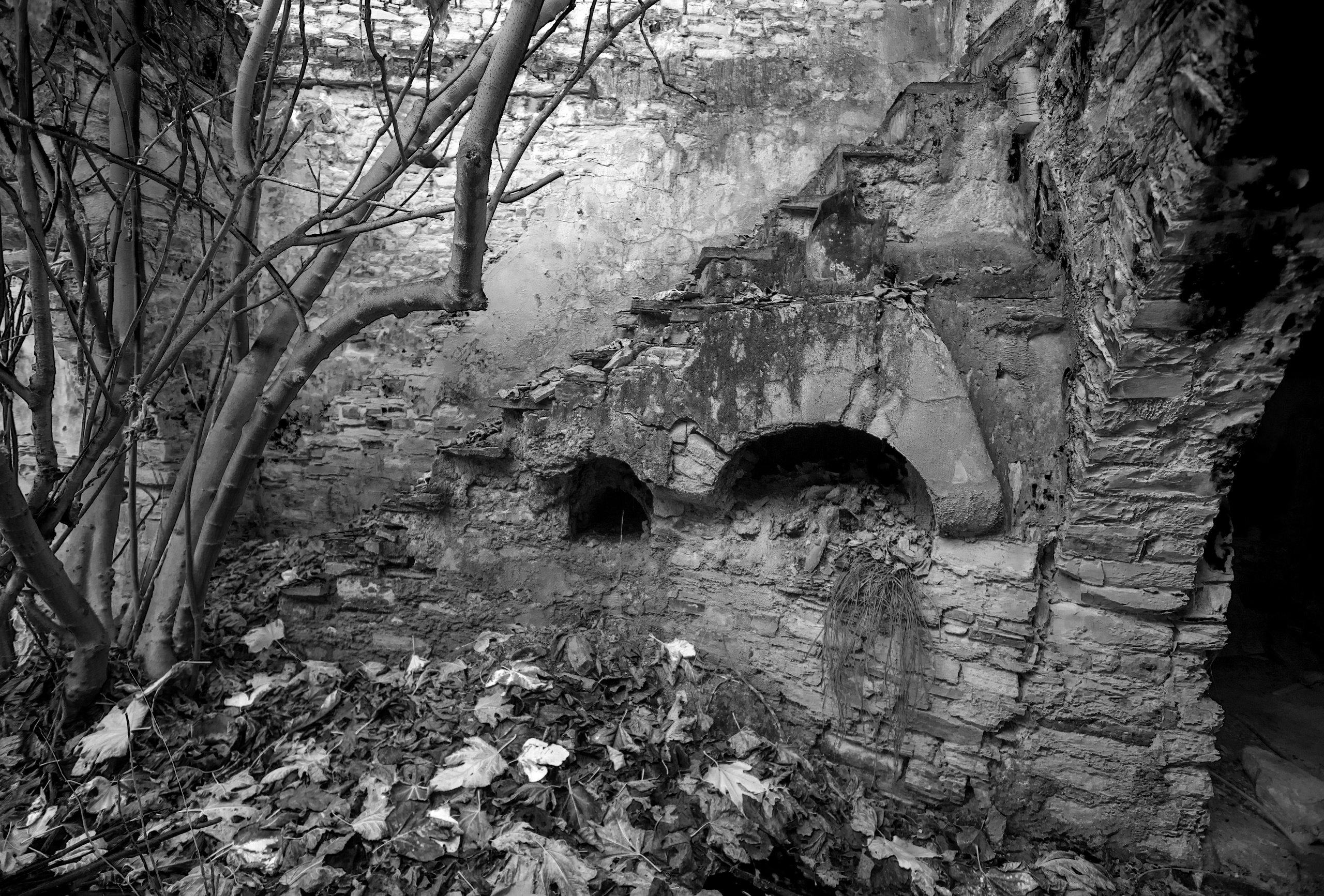 Кипр (январь 2018). Фотограф Сергей Танков