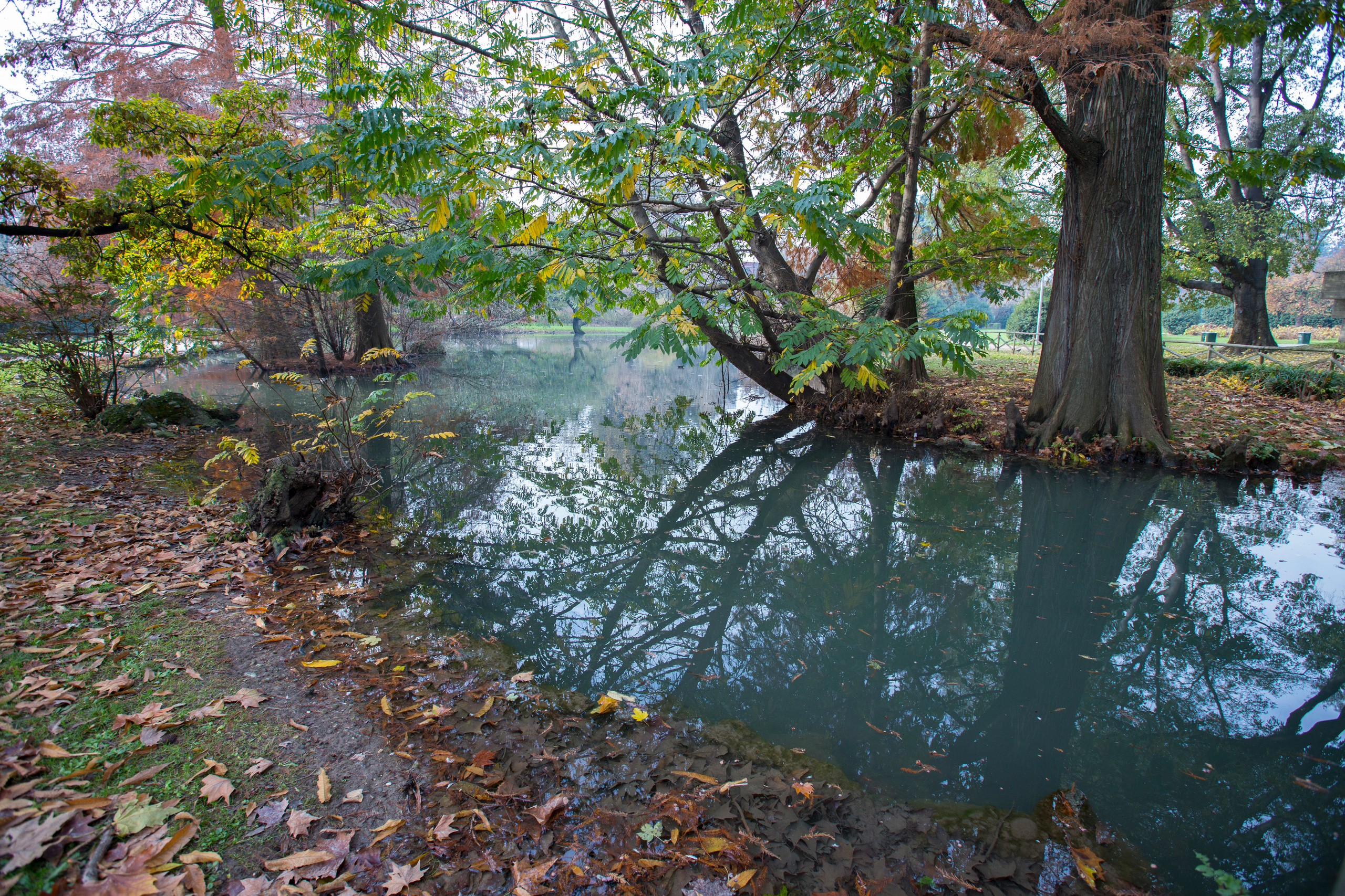 Милан (ноябрь 2014). Фотограф Сергей Танков