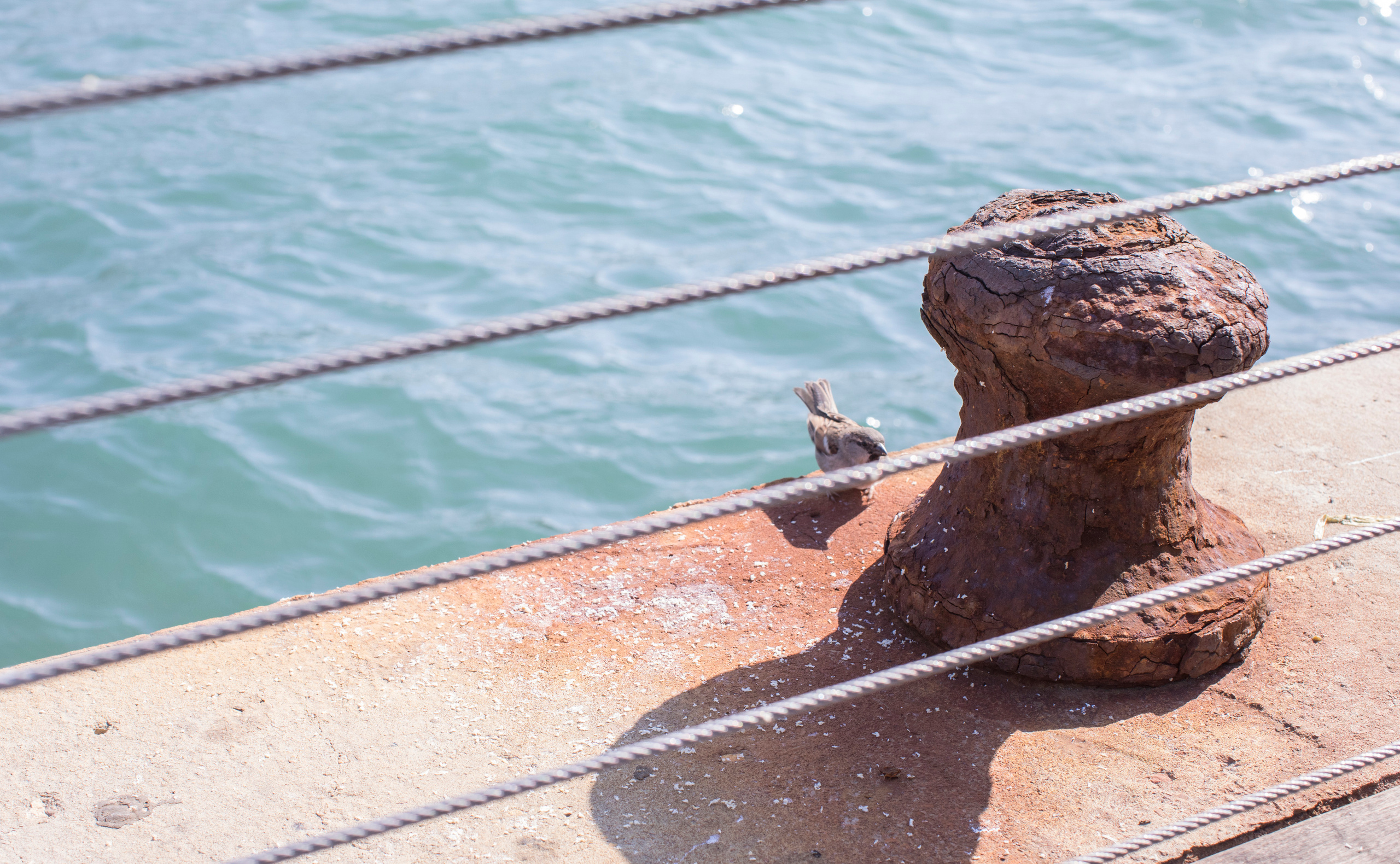 Израиль (январь 2017). Фотограф Сергей Танков