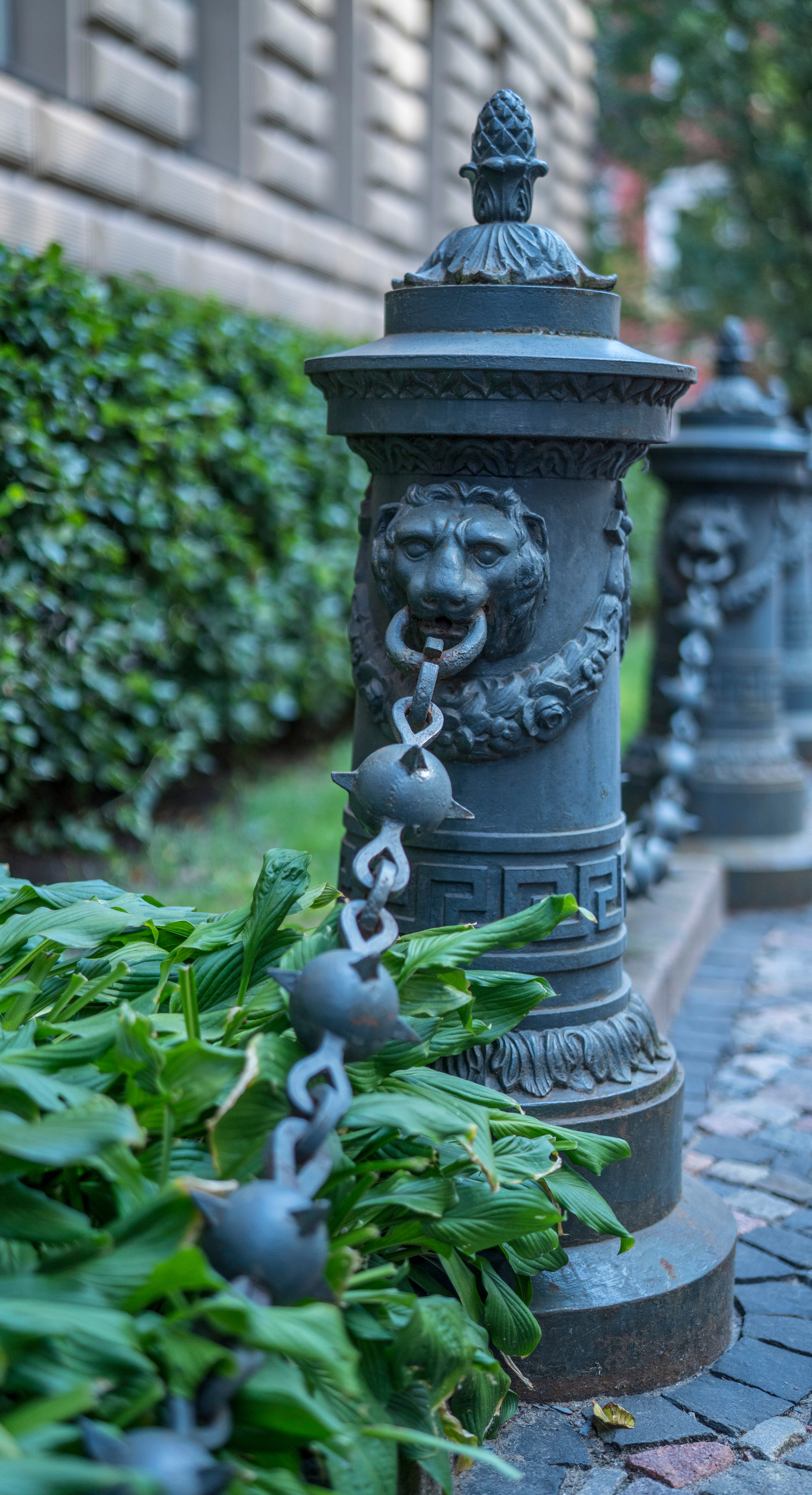 Рига (август 2018). Фотограф Сергей Танков