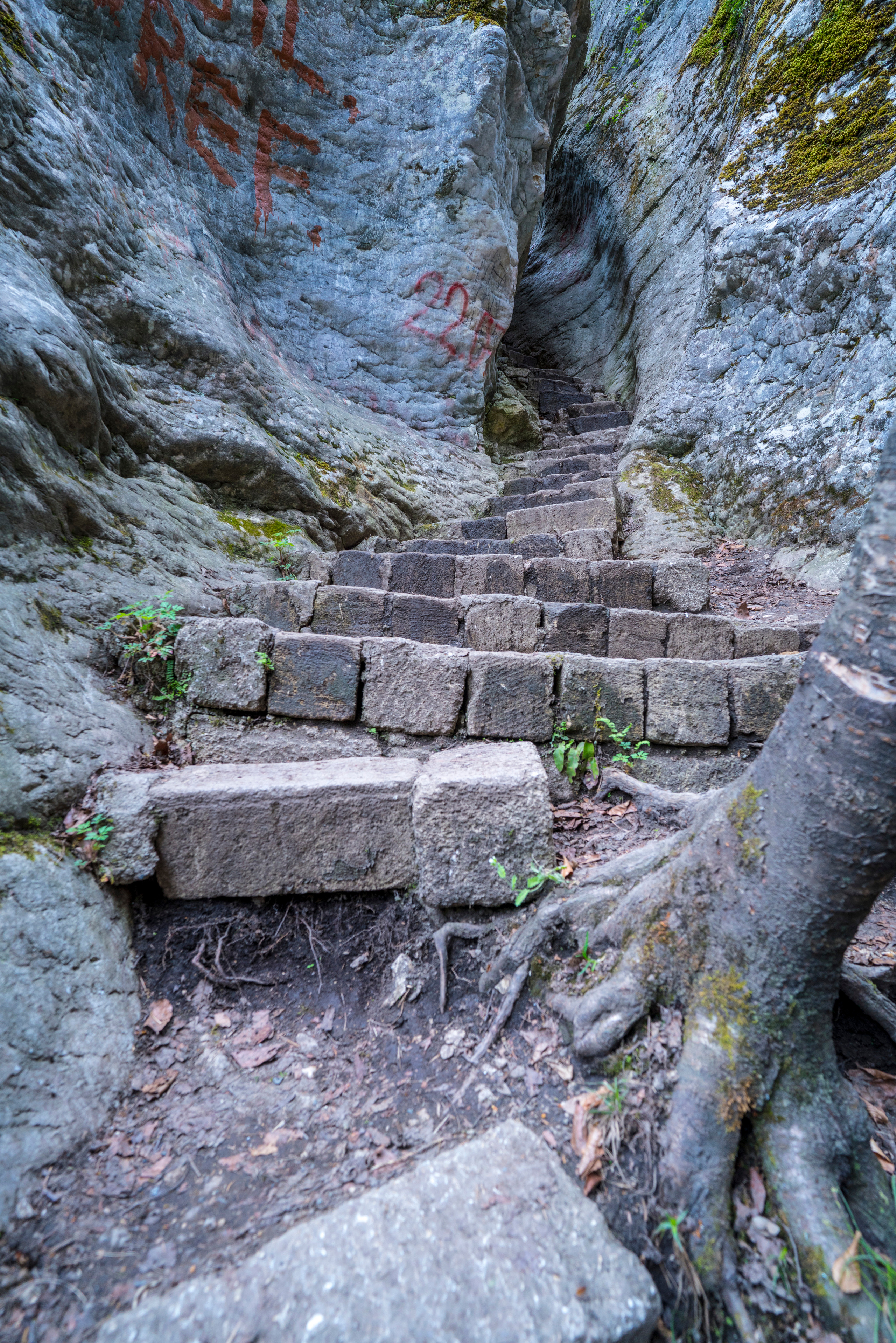 Азербайджан (апрель 2018). Фотограф Сергей Танков