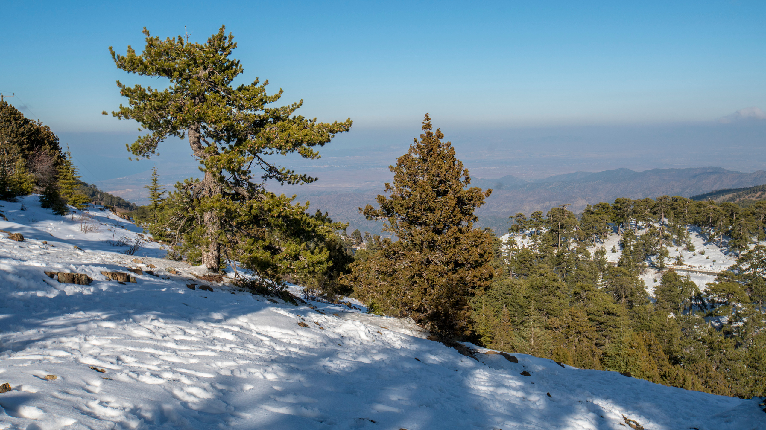 Кипр (январь 2018). Фотограф Сергей Танков