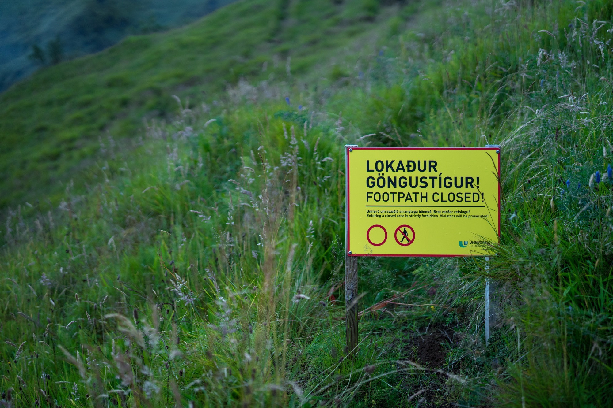 Исландия (август 2018). Фотограф Сергей Танков