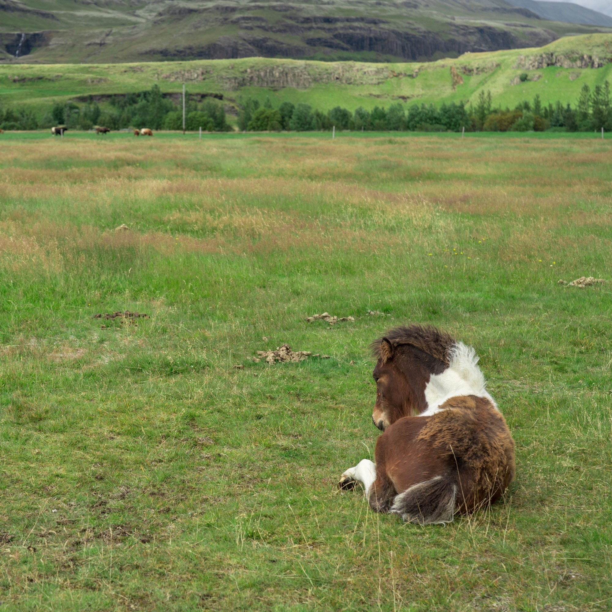 Исландия (август 2018). Фотограф Сергей Танков
