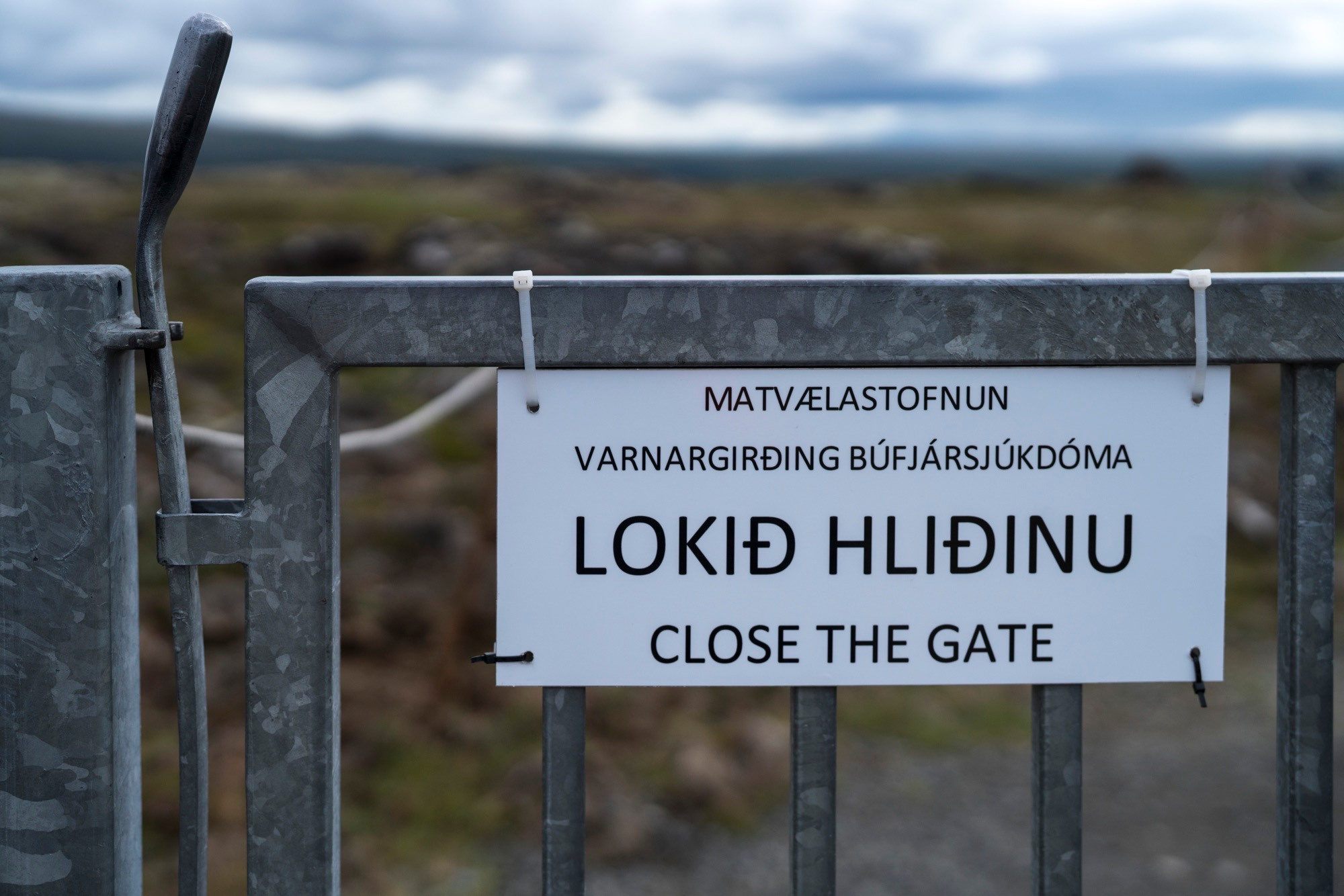 Исландия (август 2018). Фотограф Сергей Танков