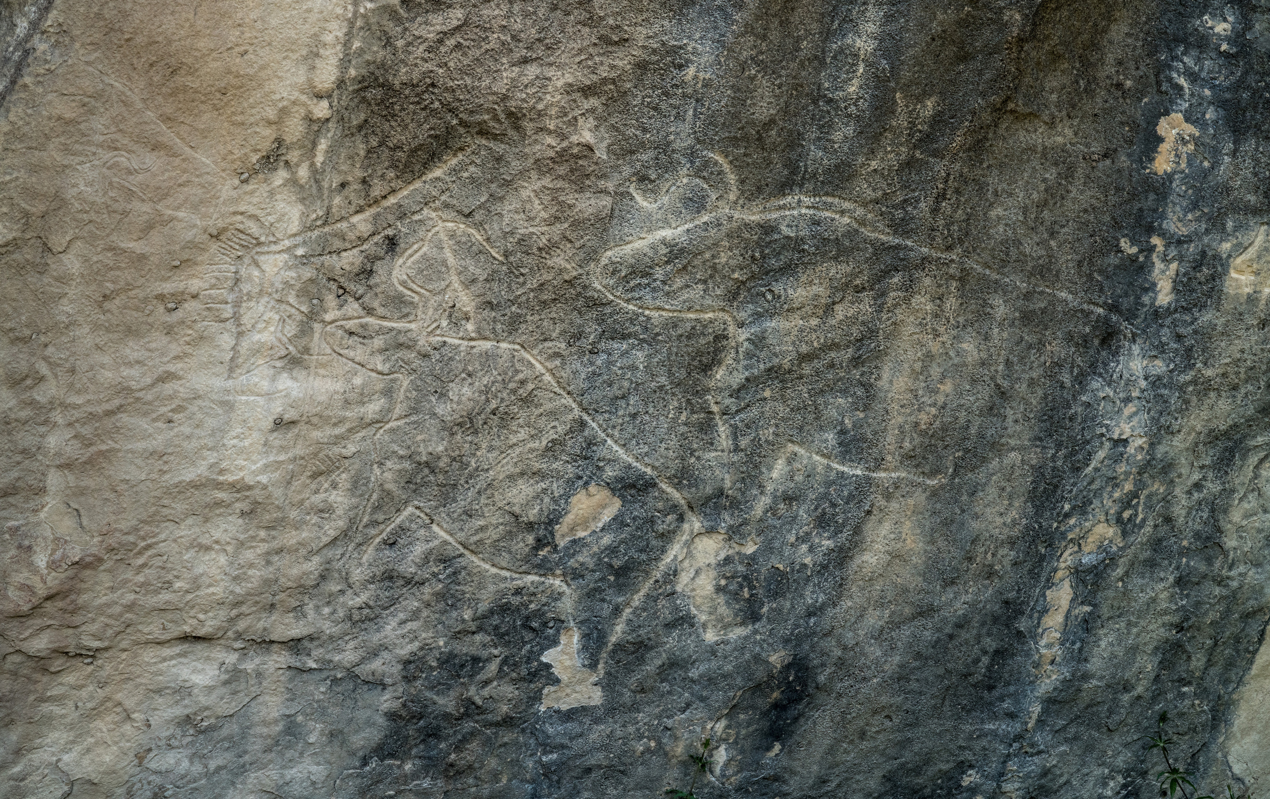Азербайджан (апрель 2018). Фотограф Сергей Танков
