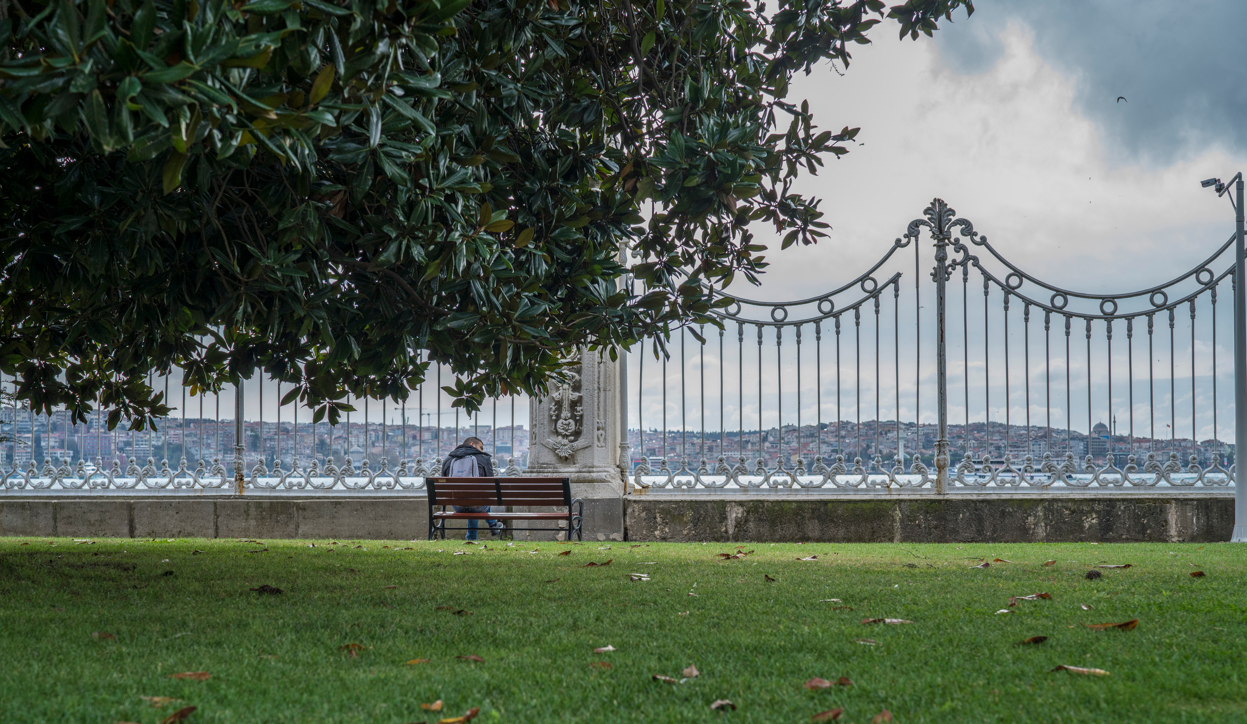 Стамбул (ноябрь 2018). Фотограф Сергей Танков
