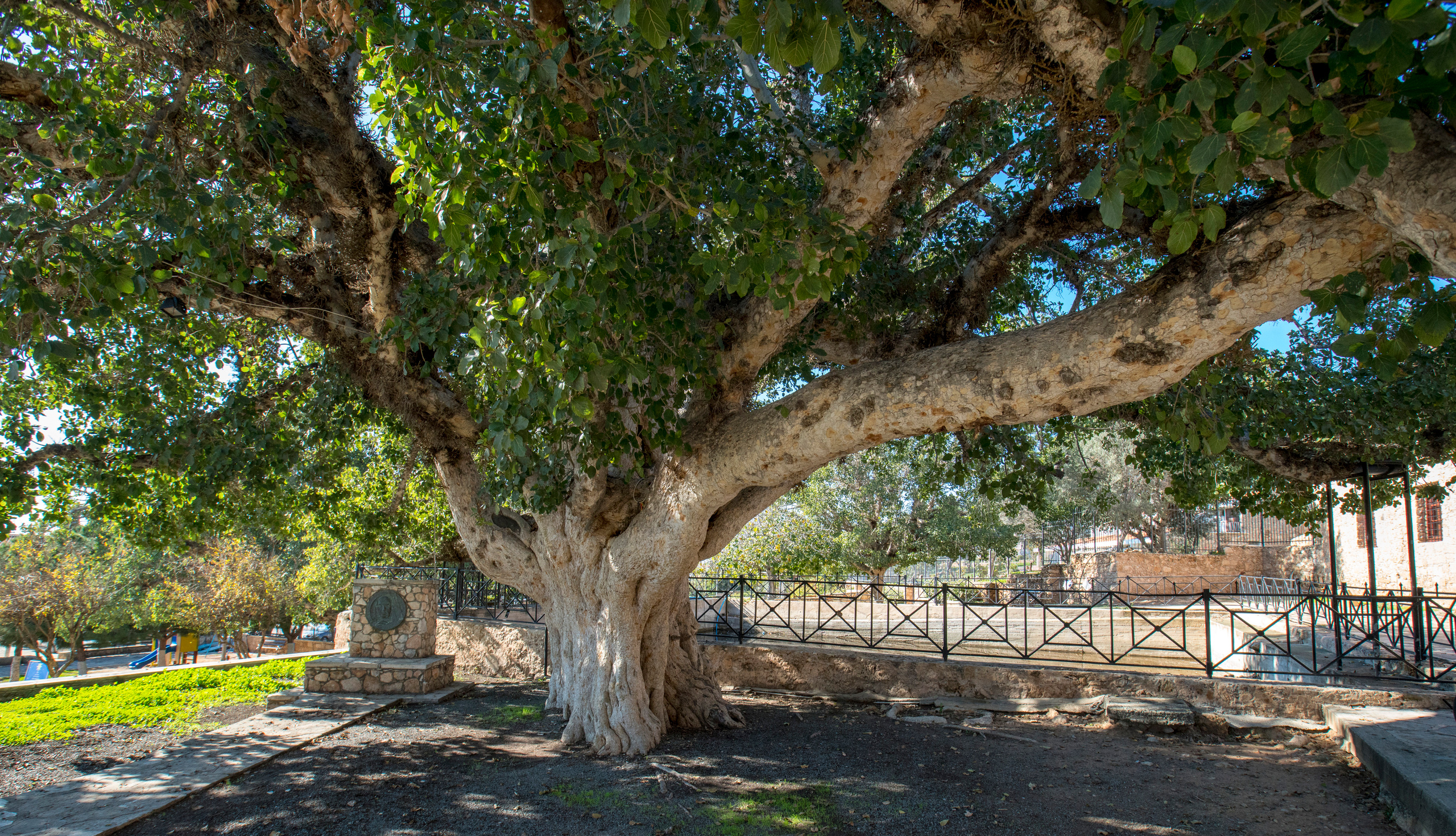 Кипр (январь 2018). Фотограф Сергей Танков