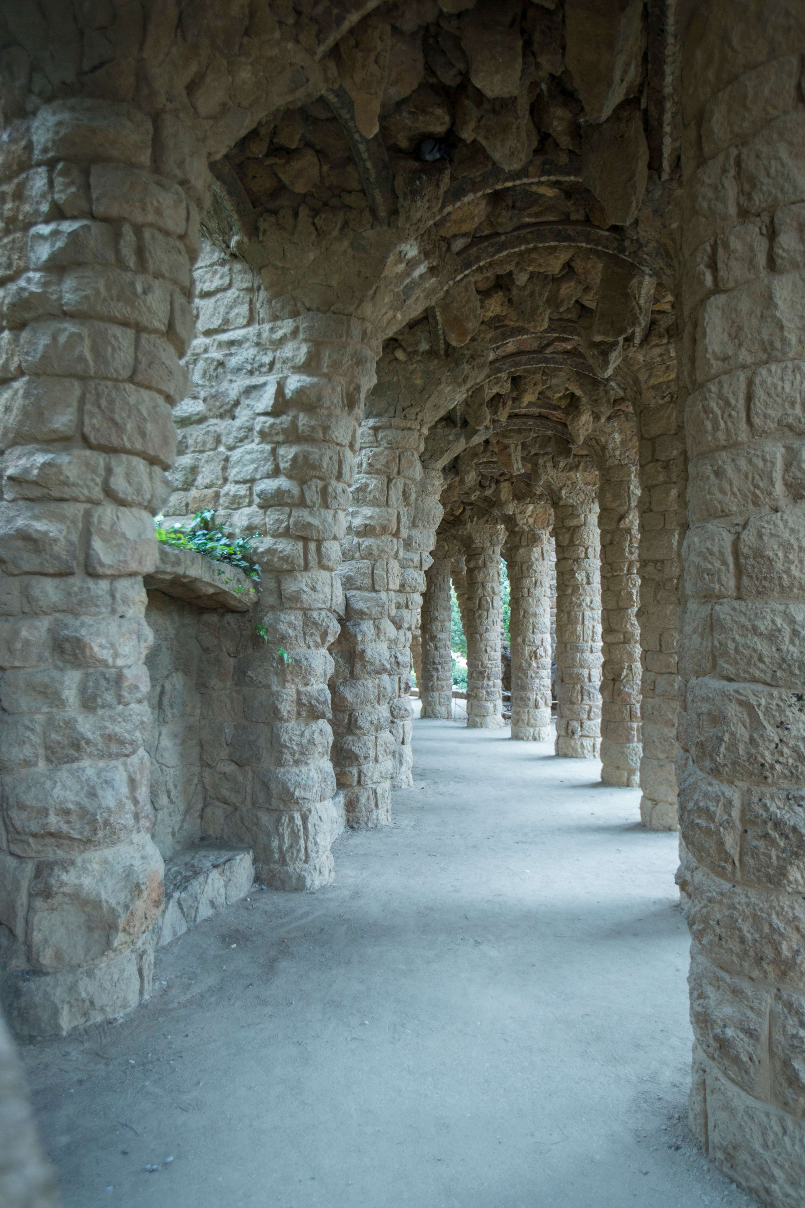 Барселона (октябрь 2015). Фотограф Сергей Танков