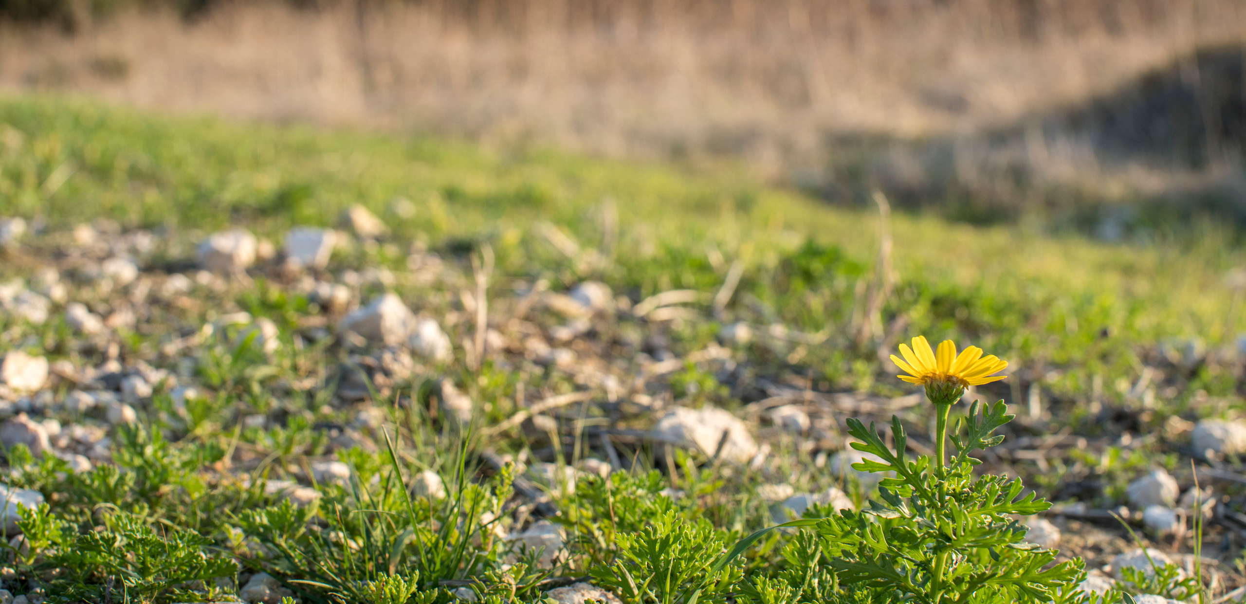 Кипр (январь 2018). Фотограф Сергей Танков