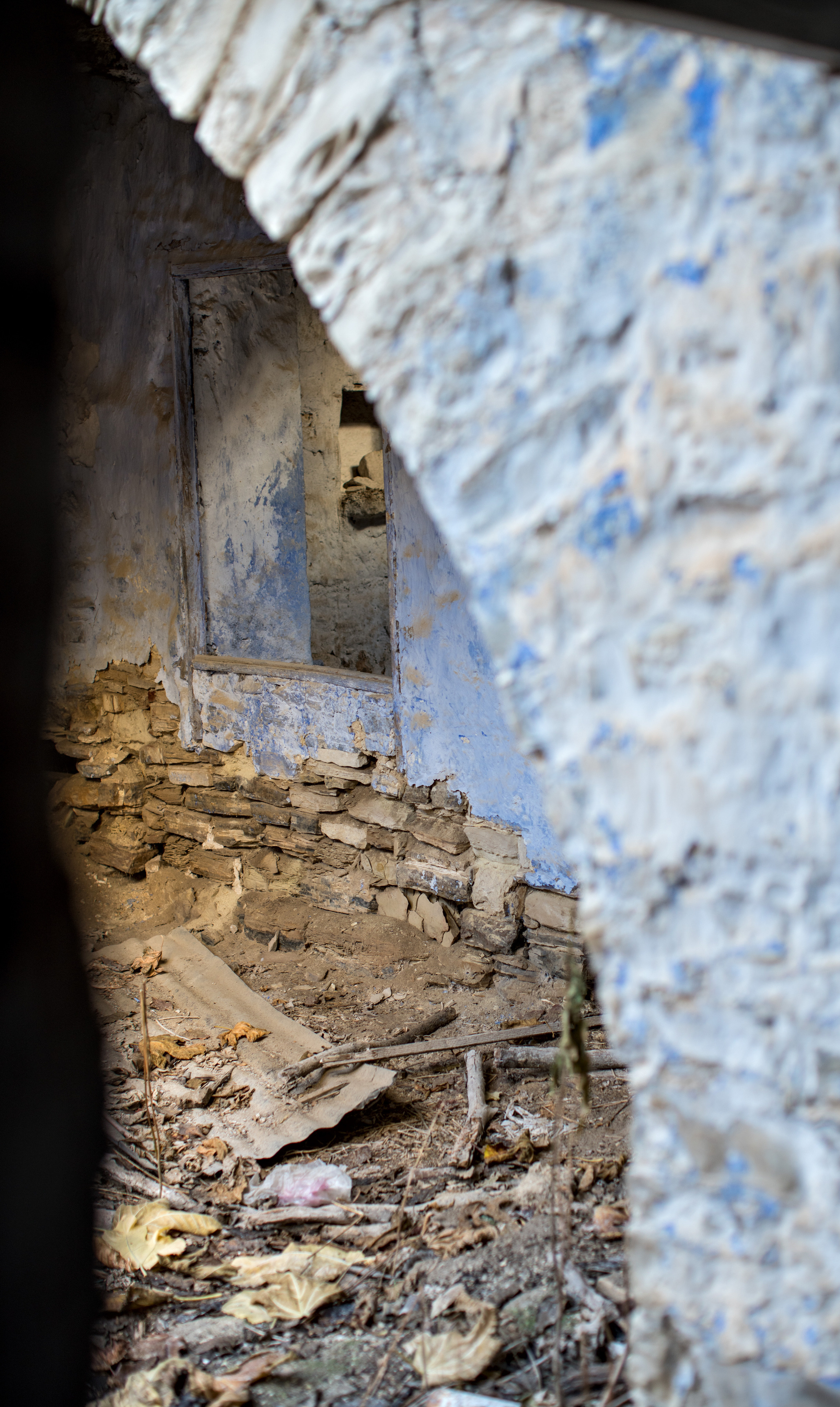 Кипр (январь 2018). Фотограф Сергей Танков