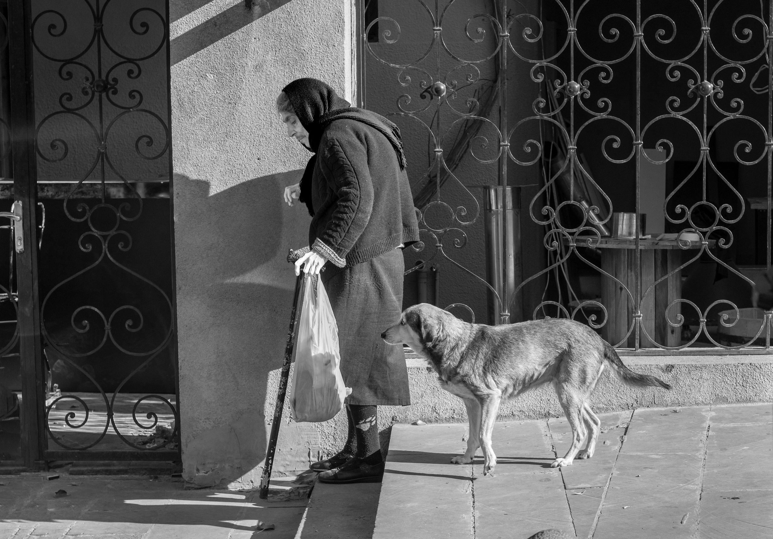 Грузия (декабрь 2017). Фотограф Сергей Танков