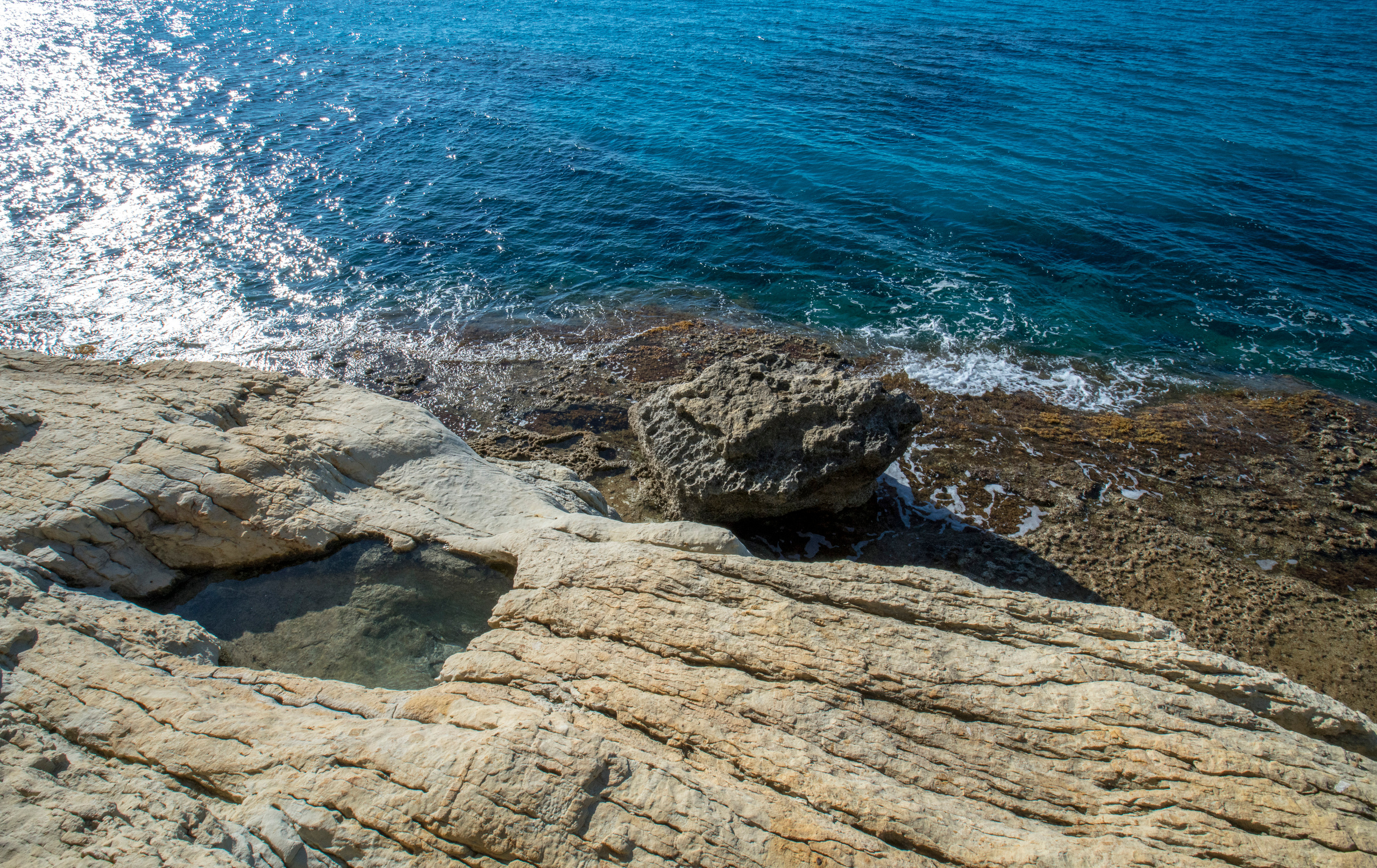 Кипр (январь 2018). Фотограф Сергей Танков