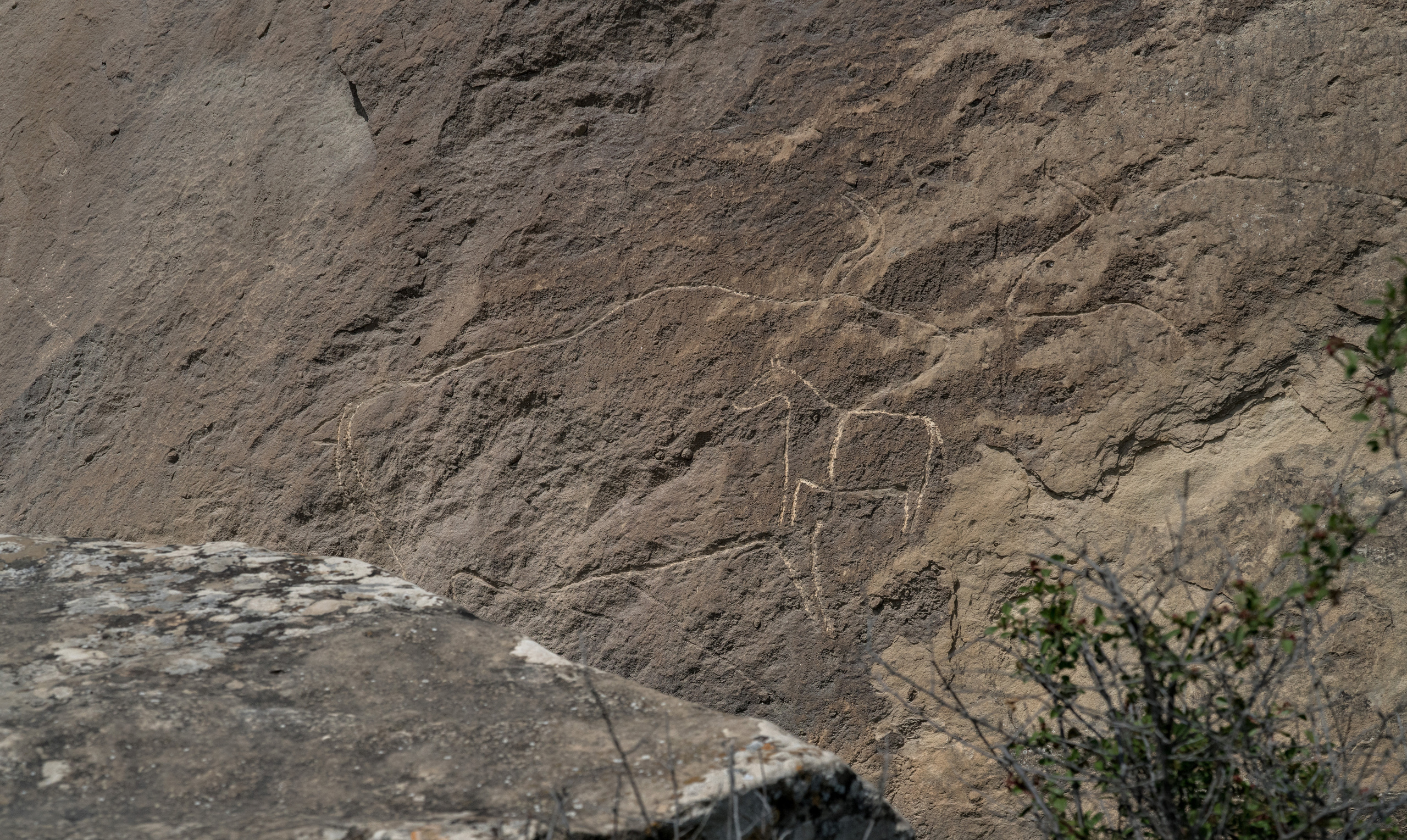 Азербайджан (апрель 2018). Фотограф Сергей Танков