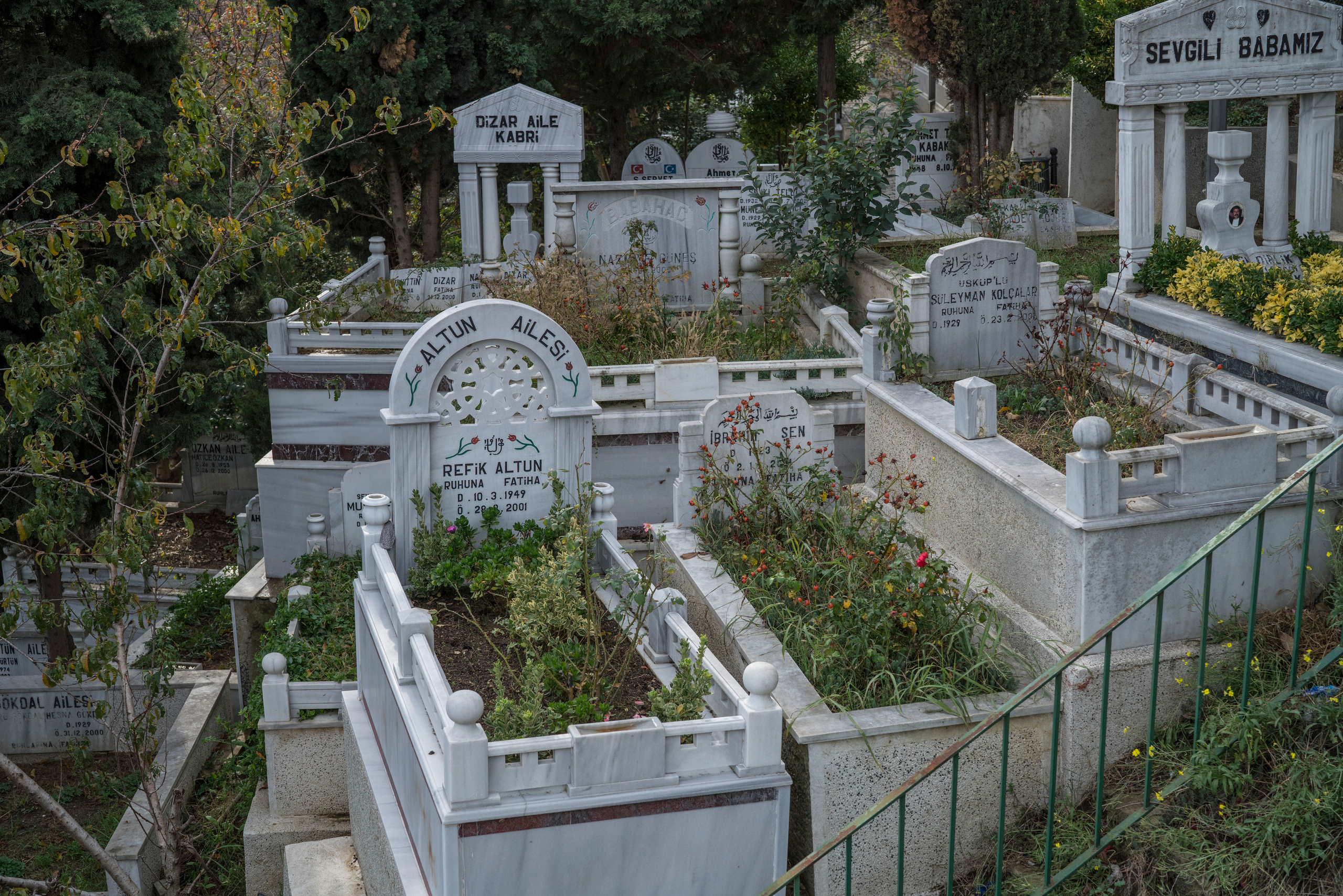 Стамбул (ноябрь 2018). Фотограф Сергей Танков