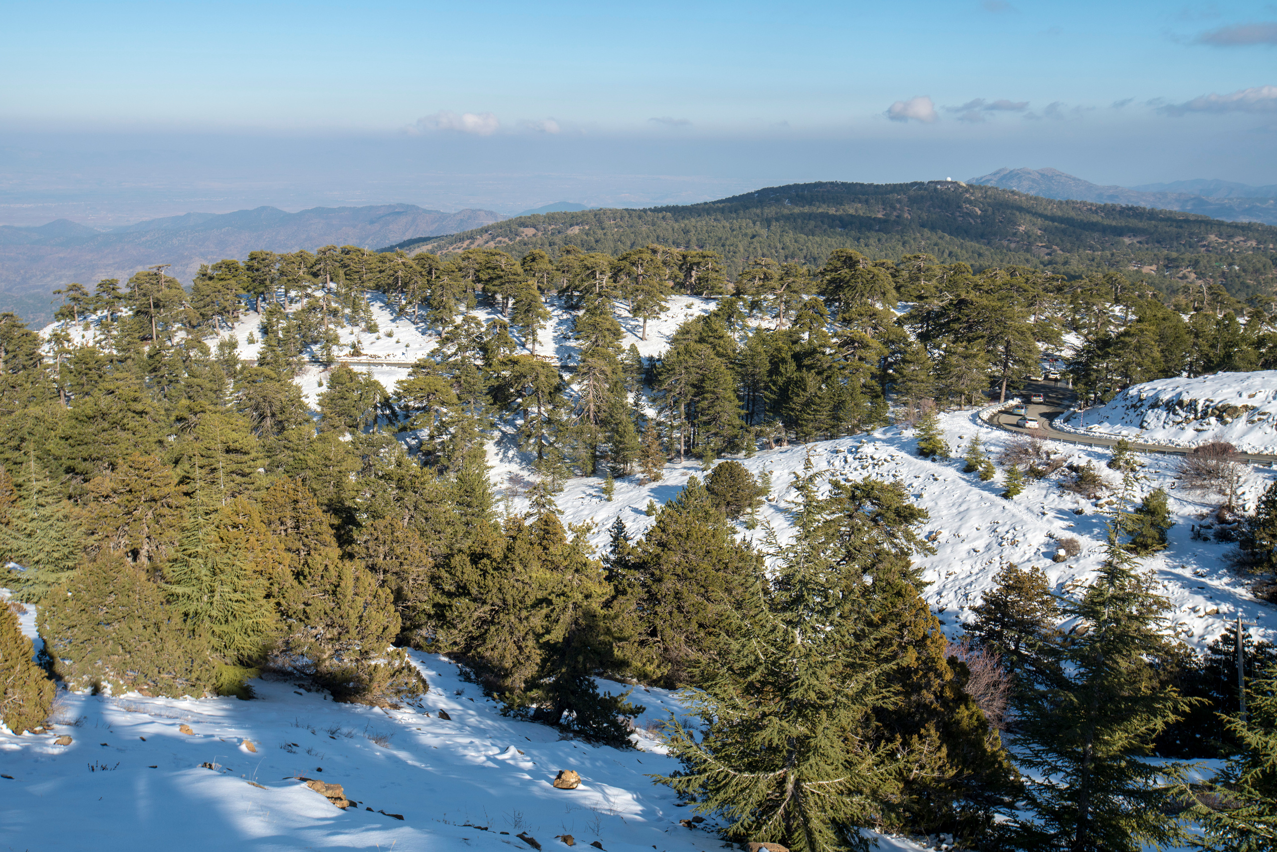 Кипр (январь 2018). Фотограф Сергей Танков