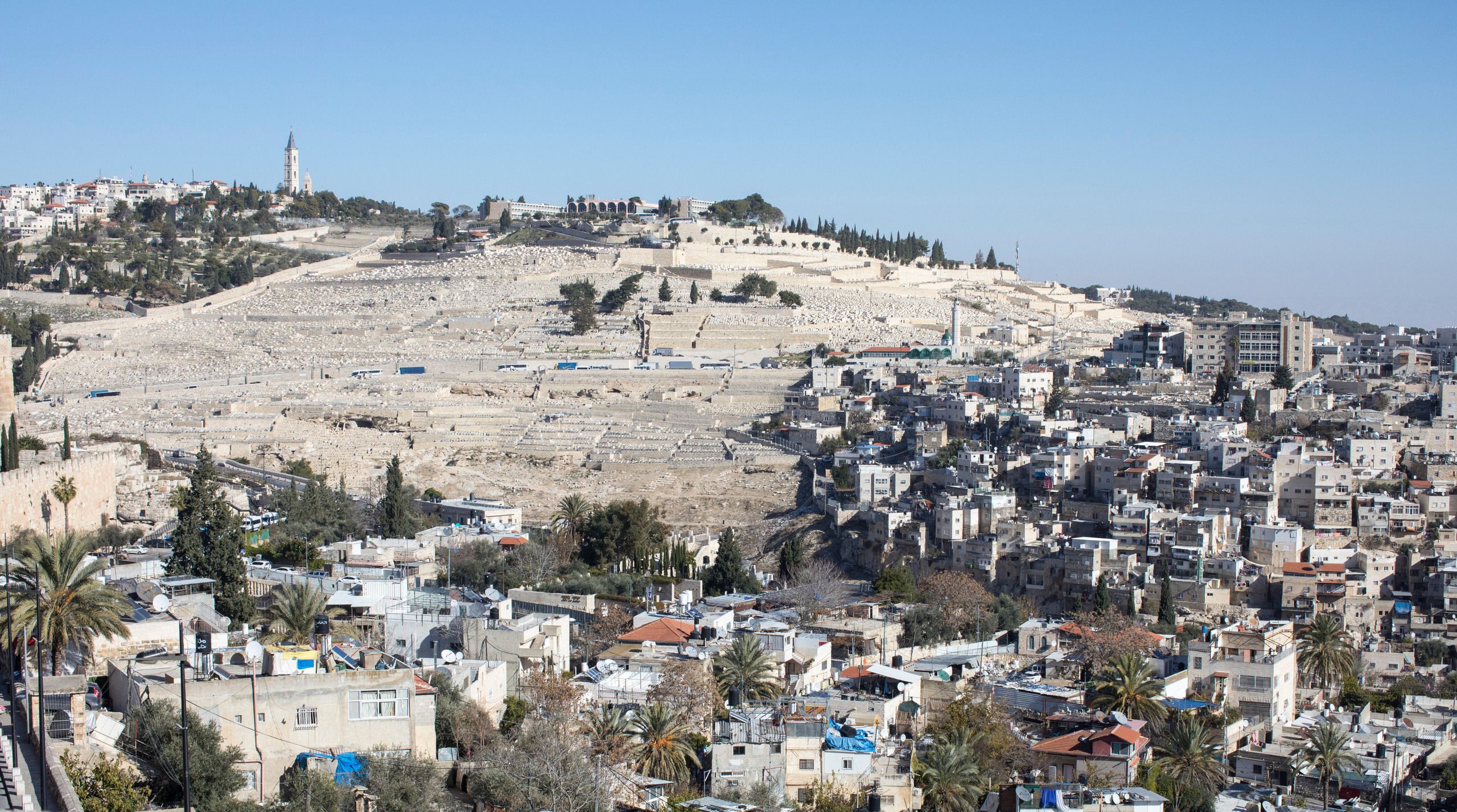 Израиль (январь 2017). Фотограф Сергей Танков