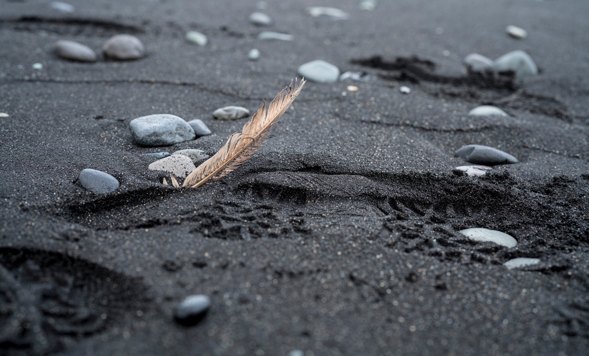Исландия (август 2018). Фотограф Сергей Танков