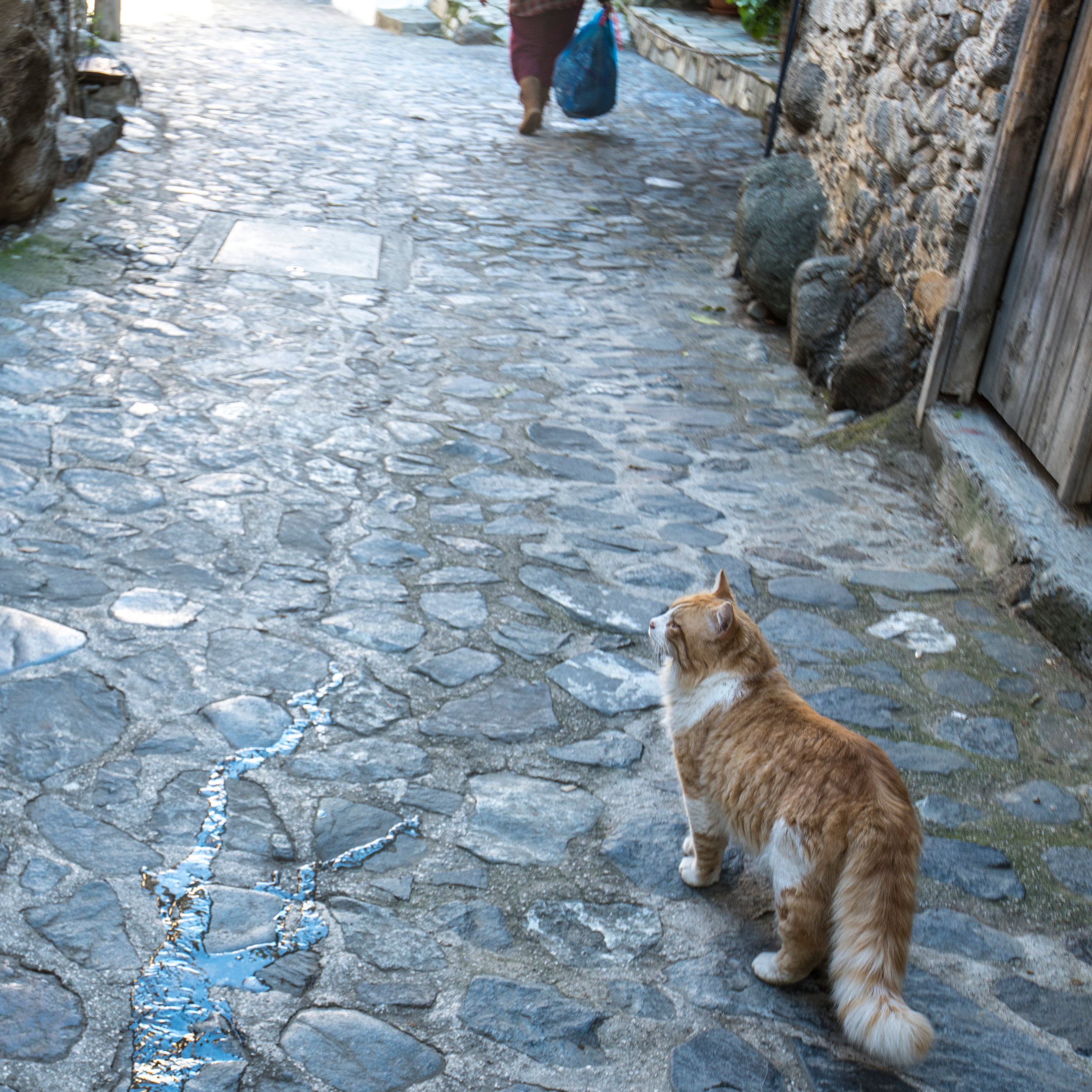 Кипр (январь 2018). Фотограф Сергей Танков