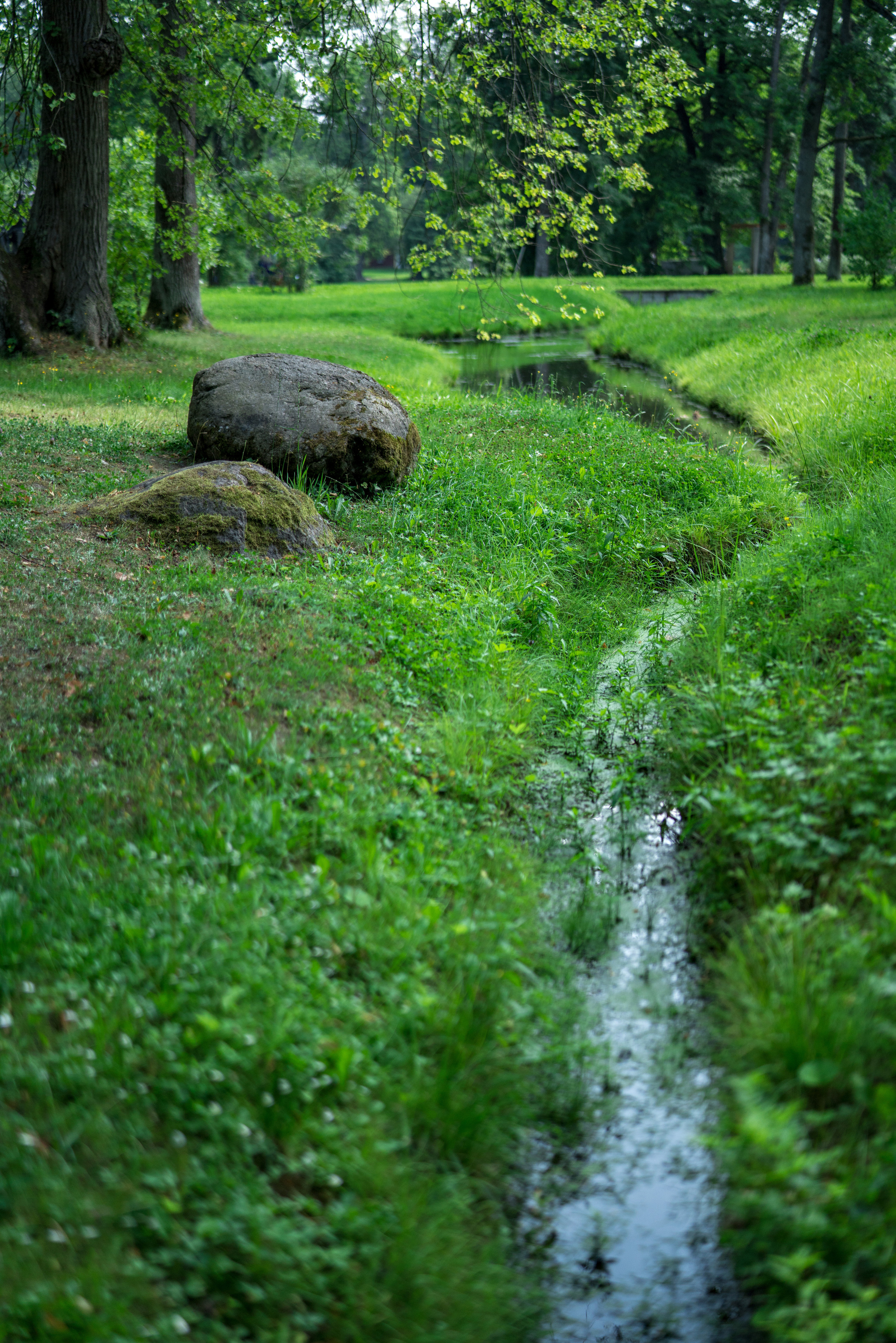 Питер (июль 2018). Фотограф Сергей Танков