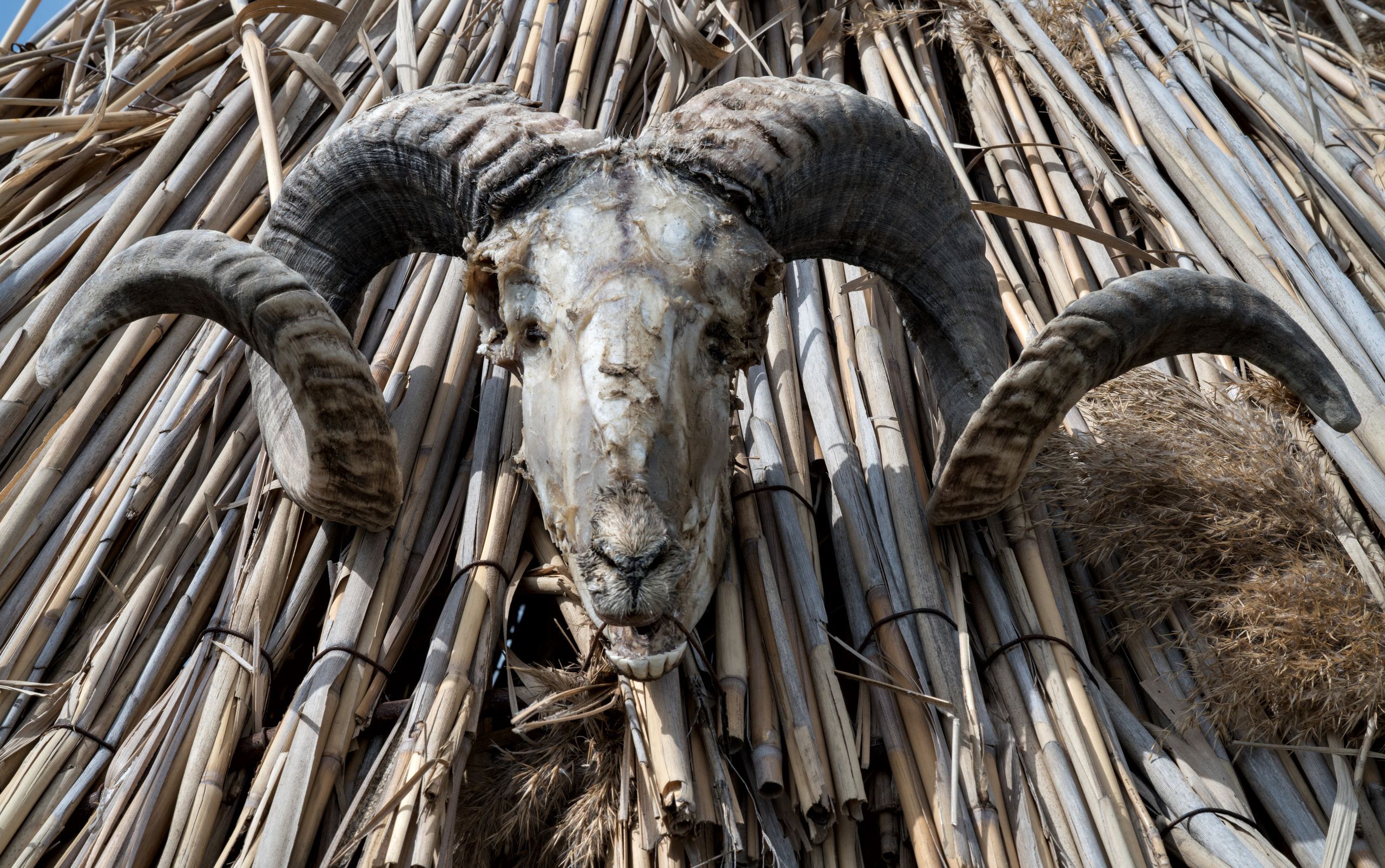 Азербайджан (апрель 2018). Фотограф Сергей Танков