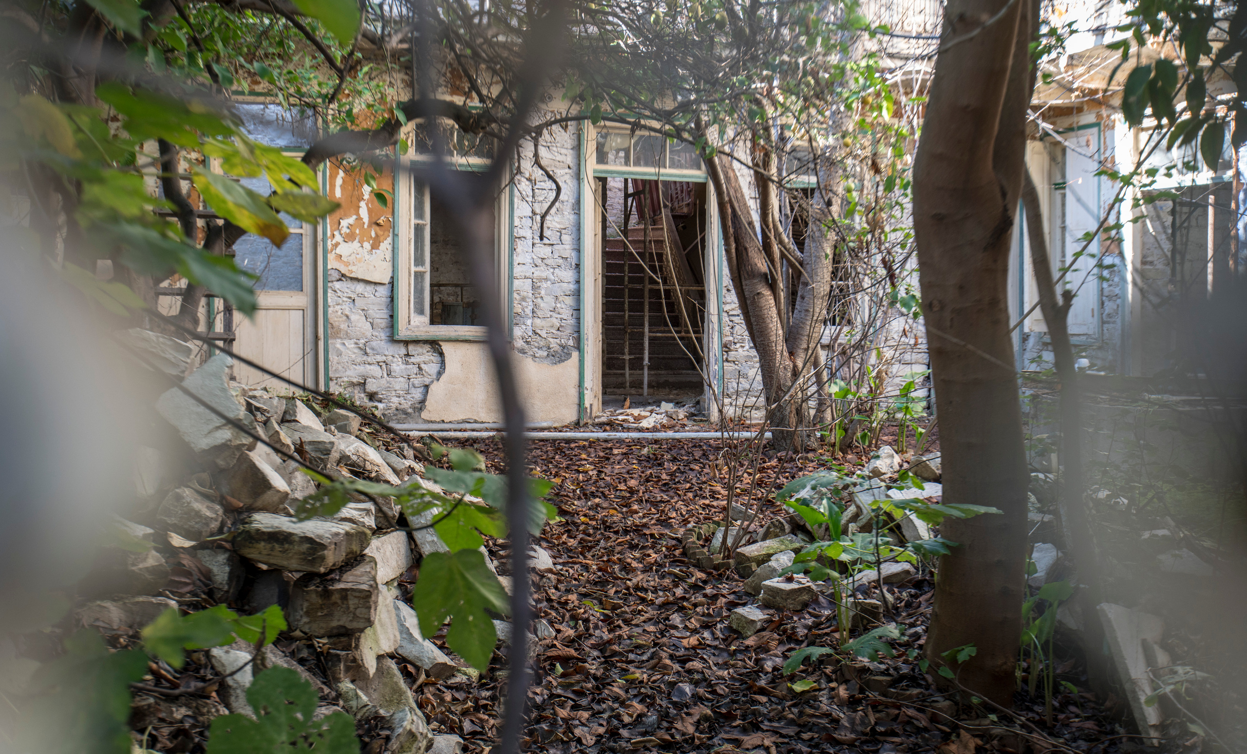 Кипр (январь 2018). Фотограф Сергей Танков