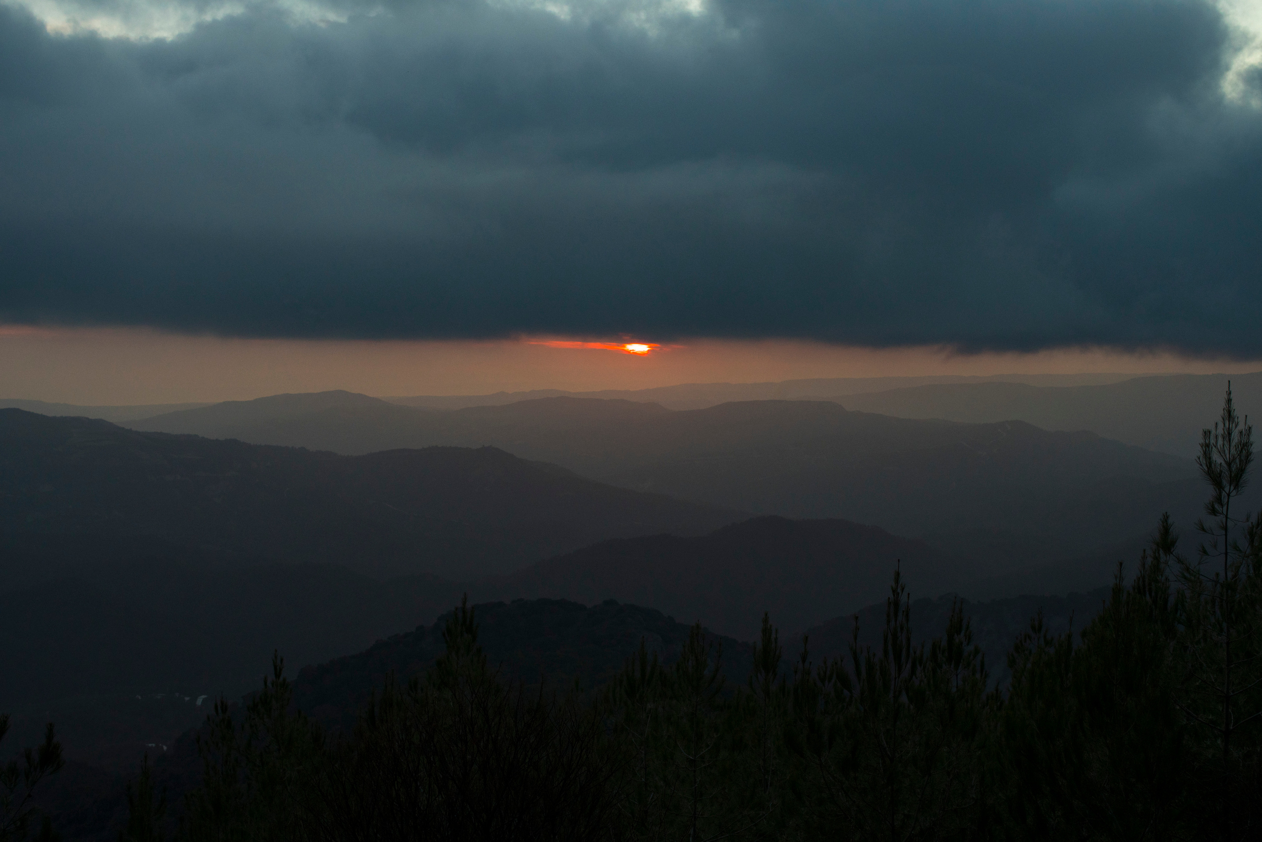 Кипр (январь 2018). Фотограф Сергей Танков