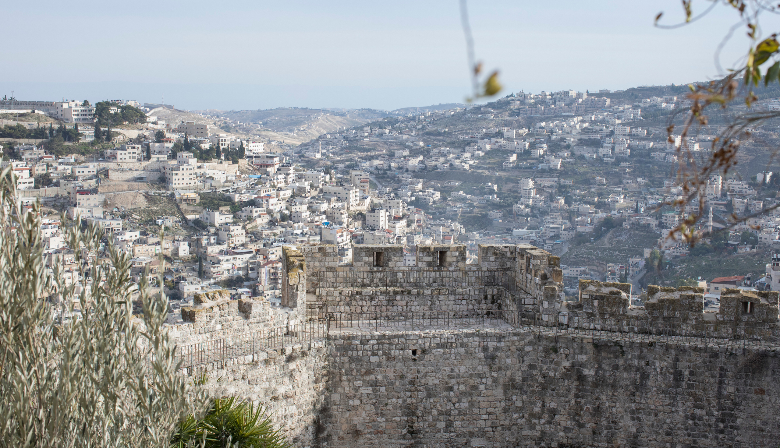 Израиль (январь 2017). Фотограф Сергей Танков