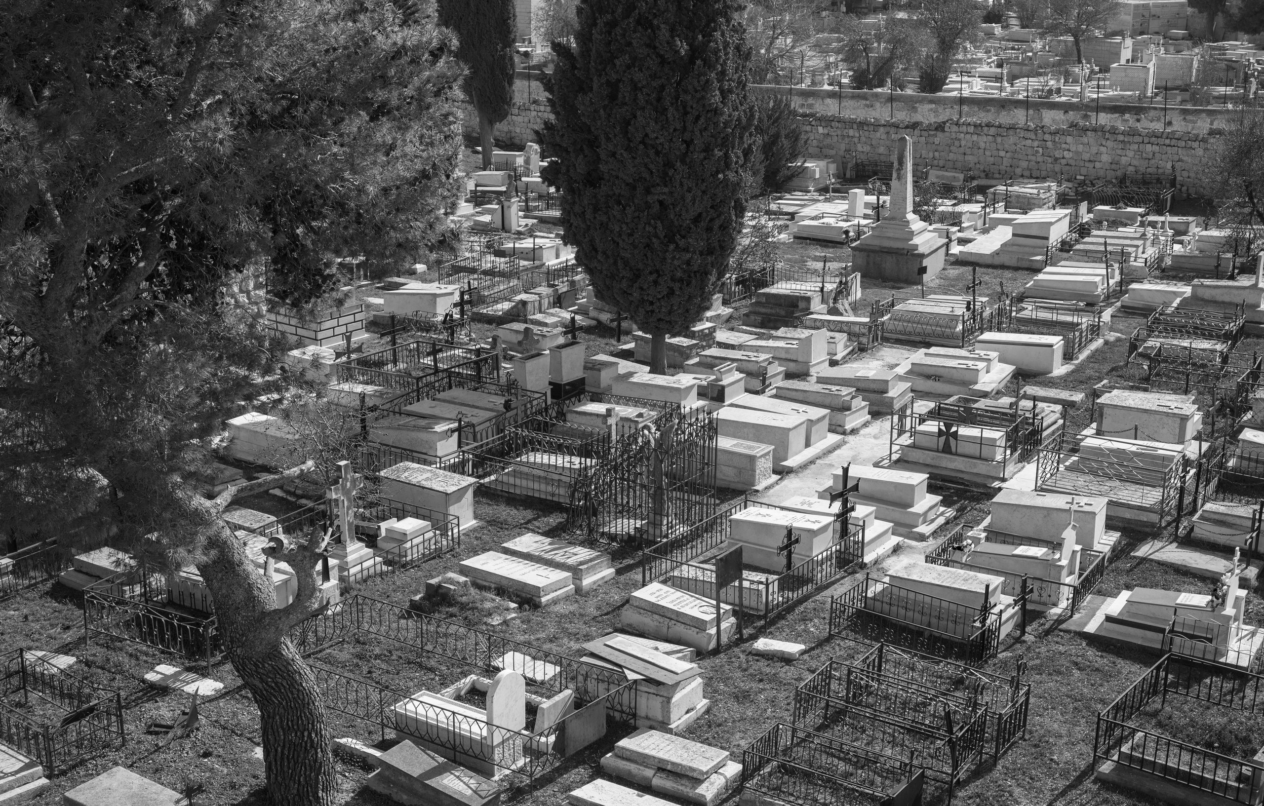 Израиль (январь 2017). Фотограф Сергей Танков