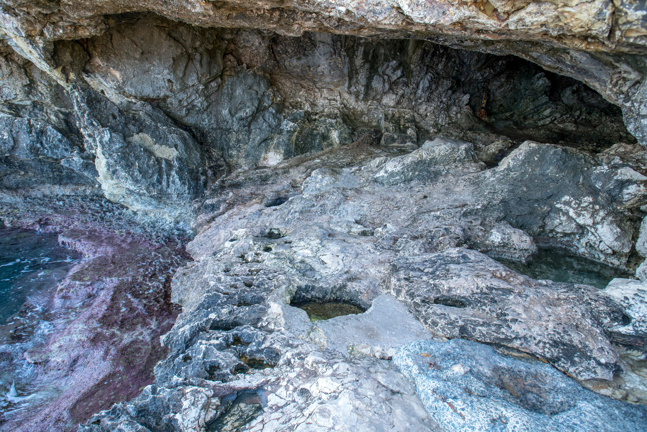 Кипр (январь 2018). Фотограф Сергей Танков