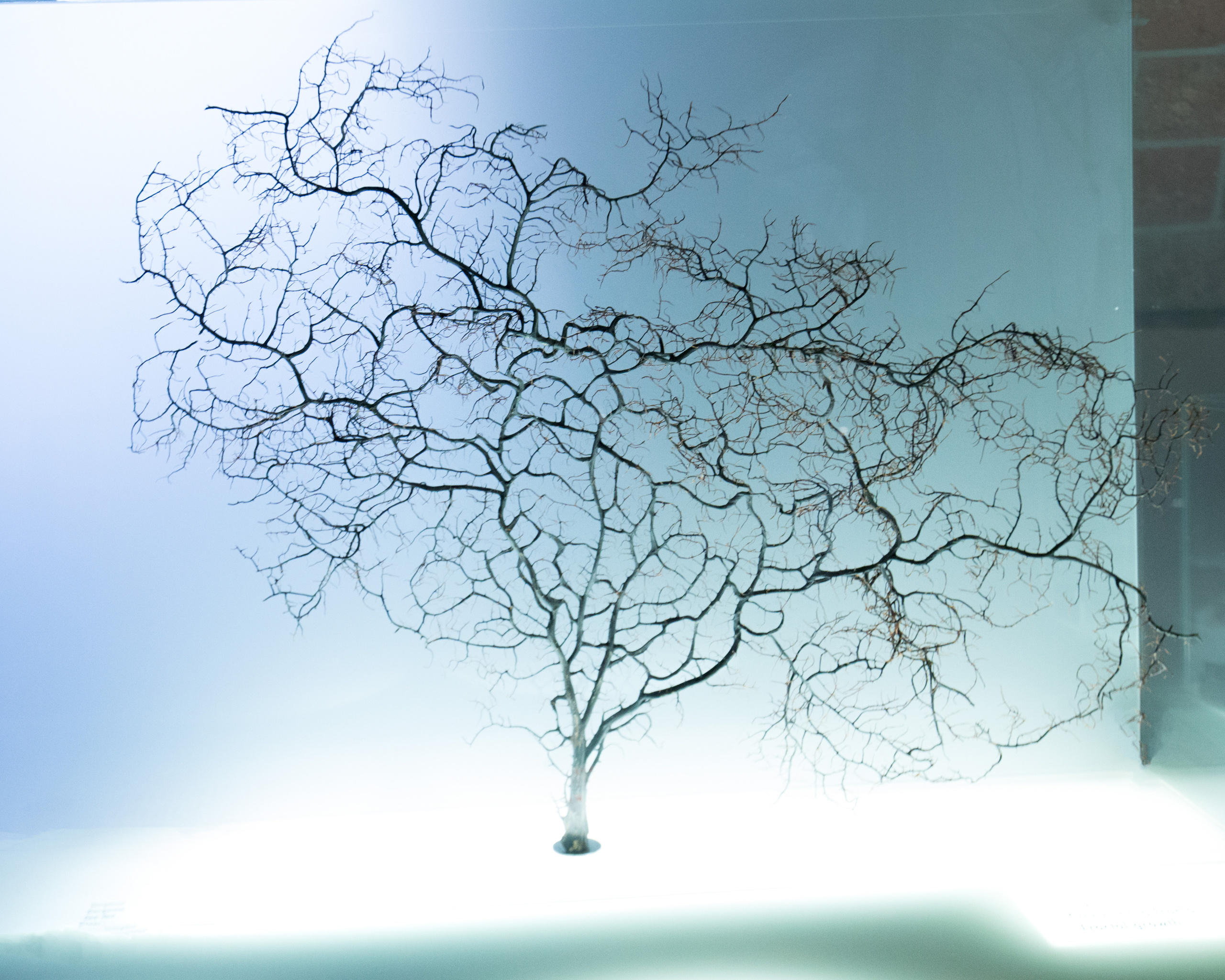 Барселона (октябрь 2015). Фотограф Сергей Танков