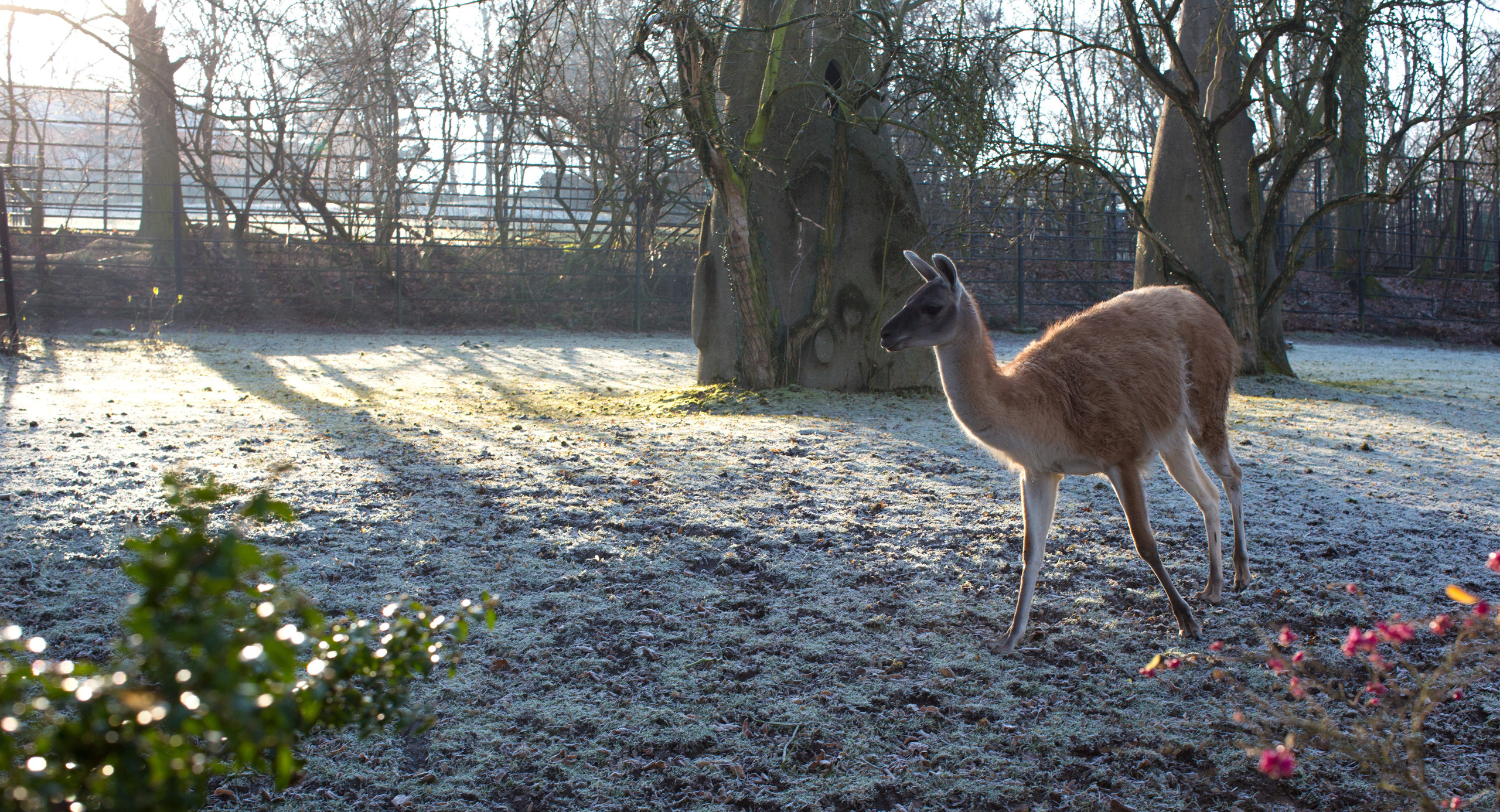 Прага (декабрь 2013). Фотограф Сергей Танков