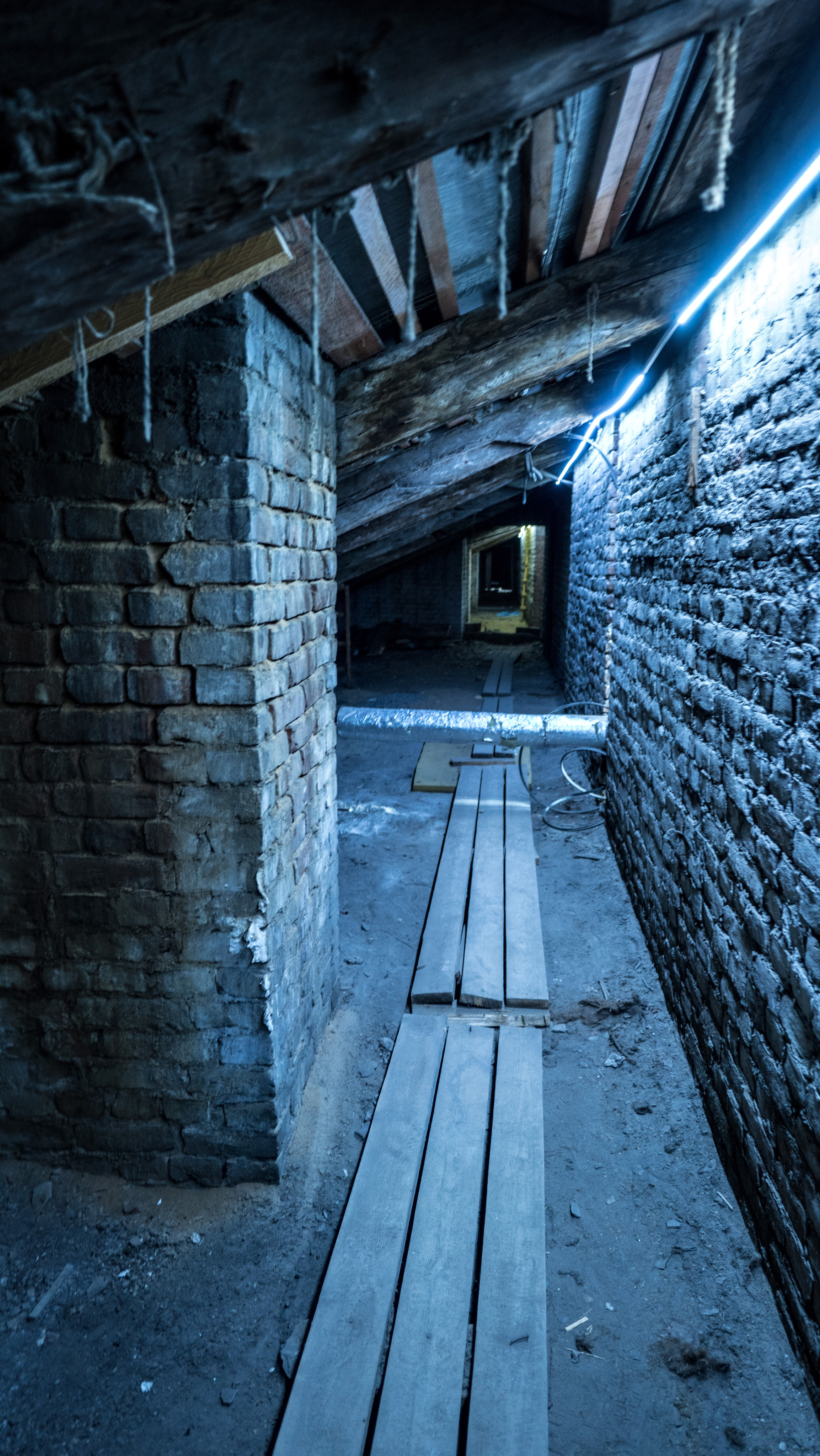 Питер (июль 2018). Фотограф Сергей Танков