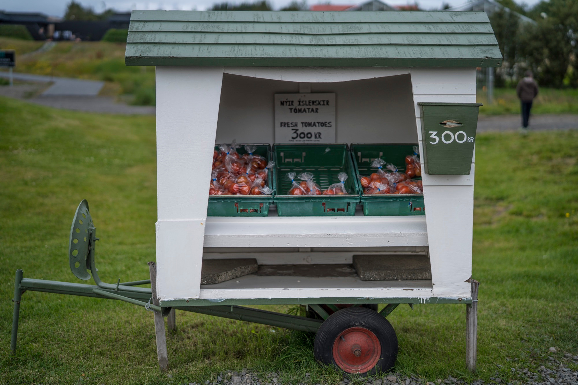 Исландия (август 2018). Фотограф Сергей Танков