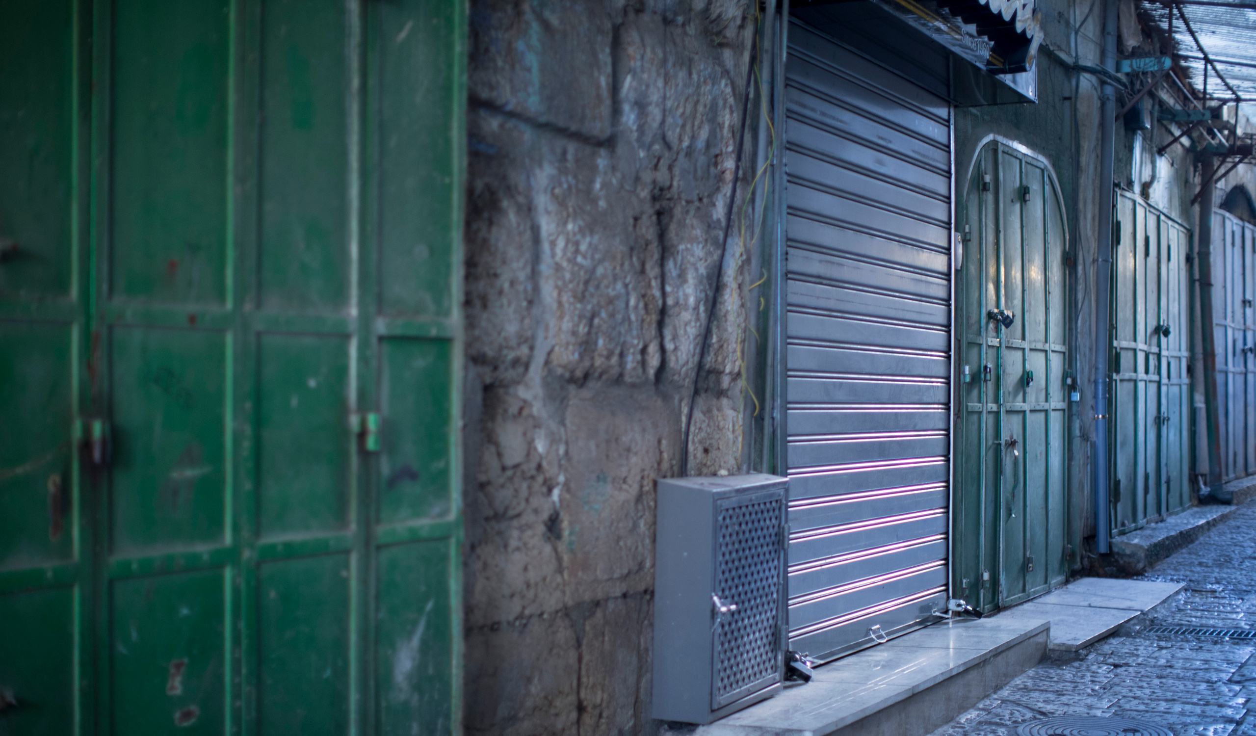 Израиль (январь 2017). Фотограф Сергей Танков