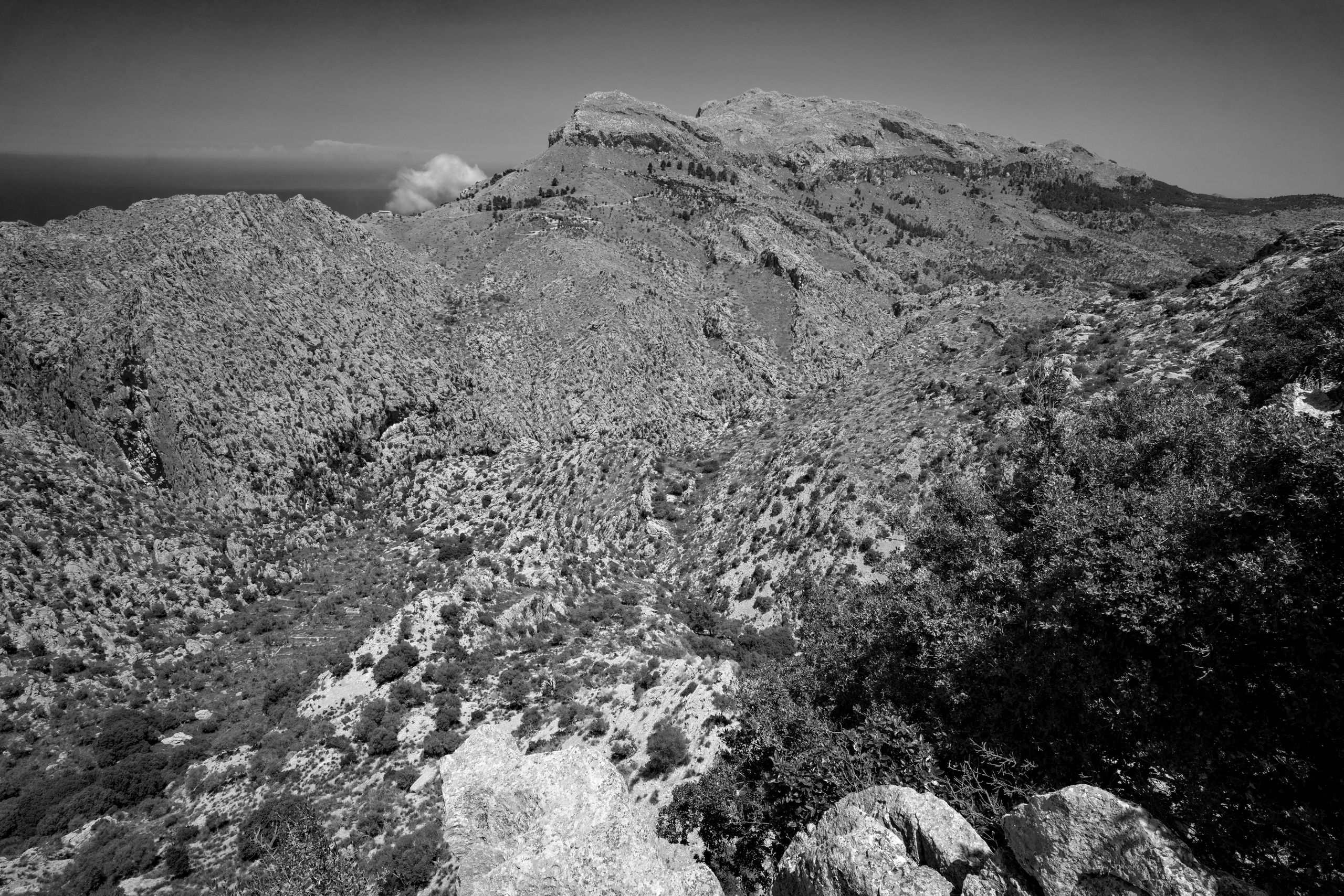 Майорка (июль 2018). Фотограф Сергей Танков