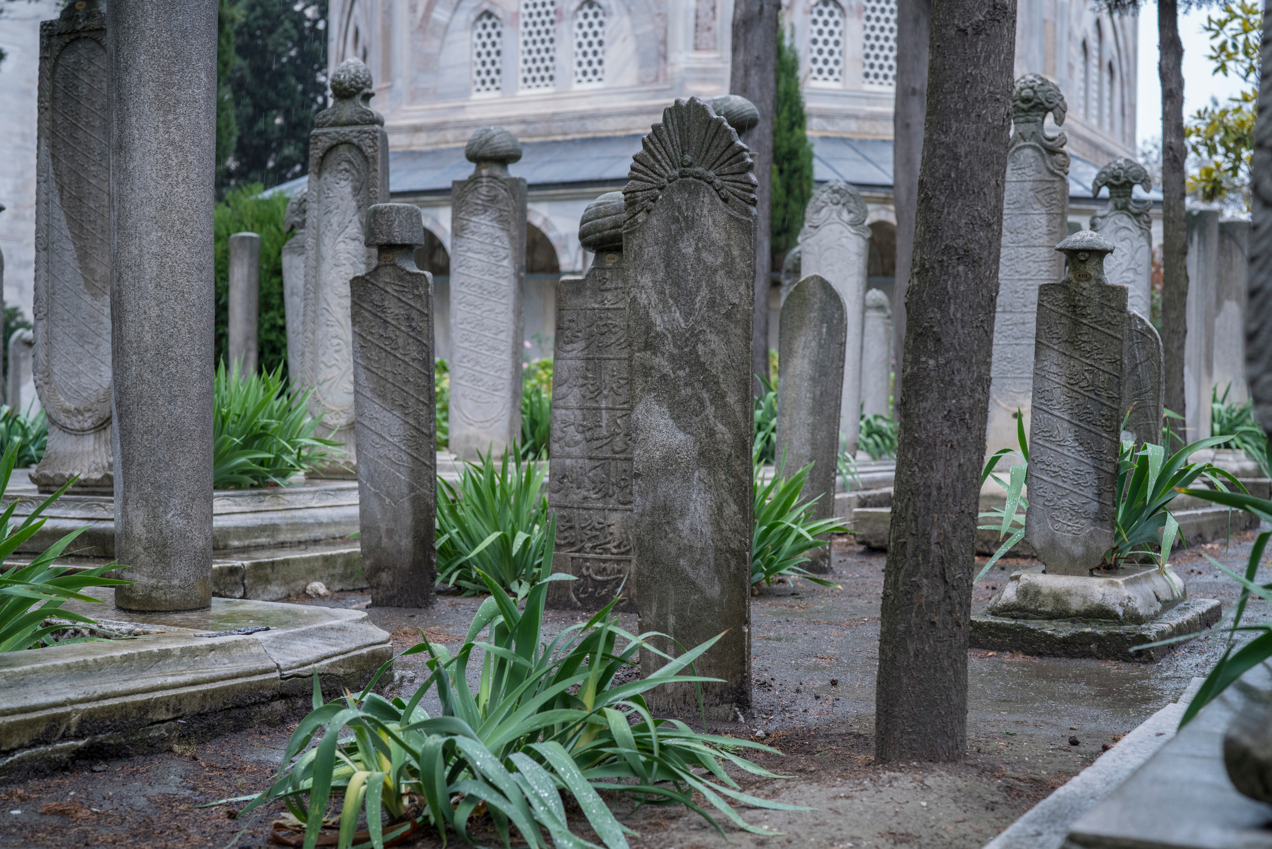 Стамбул (ноябрь 2018). Фотограф Сергей Танков