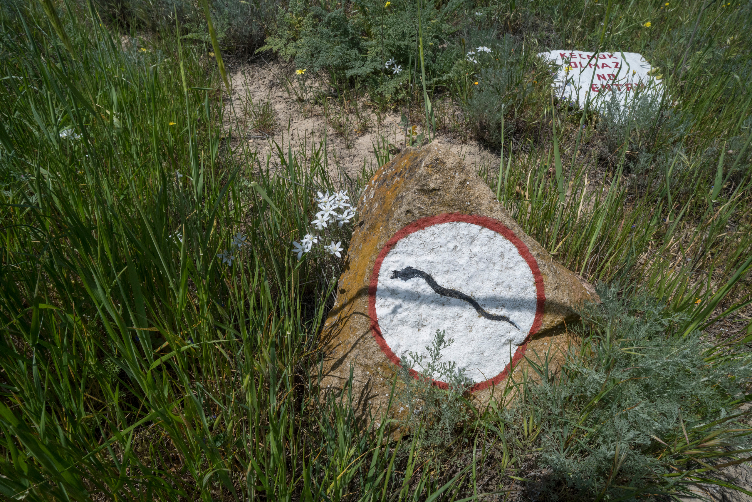 Азербайджан (апрель 2018). Фотограф Сергей Танков