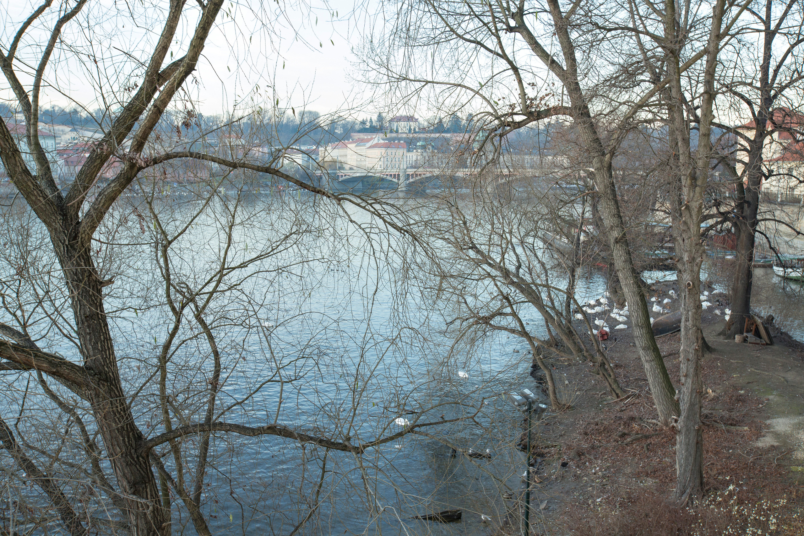 Прага (декабрь 2013). Фотограф Сергей Танков